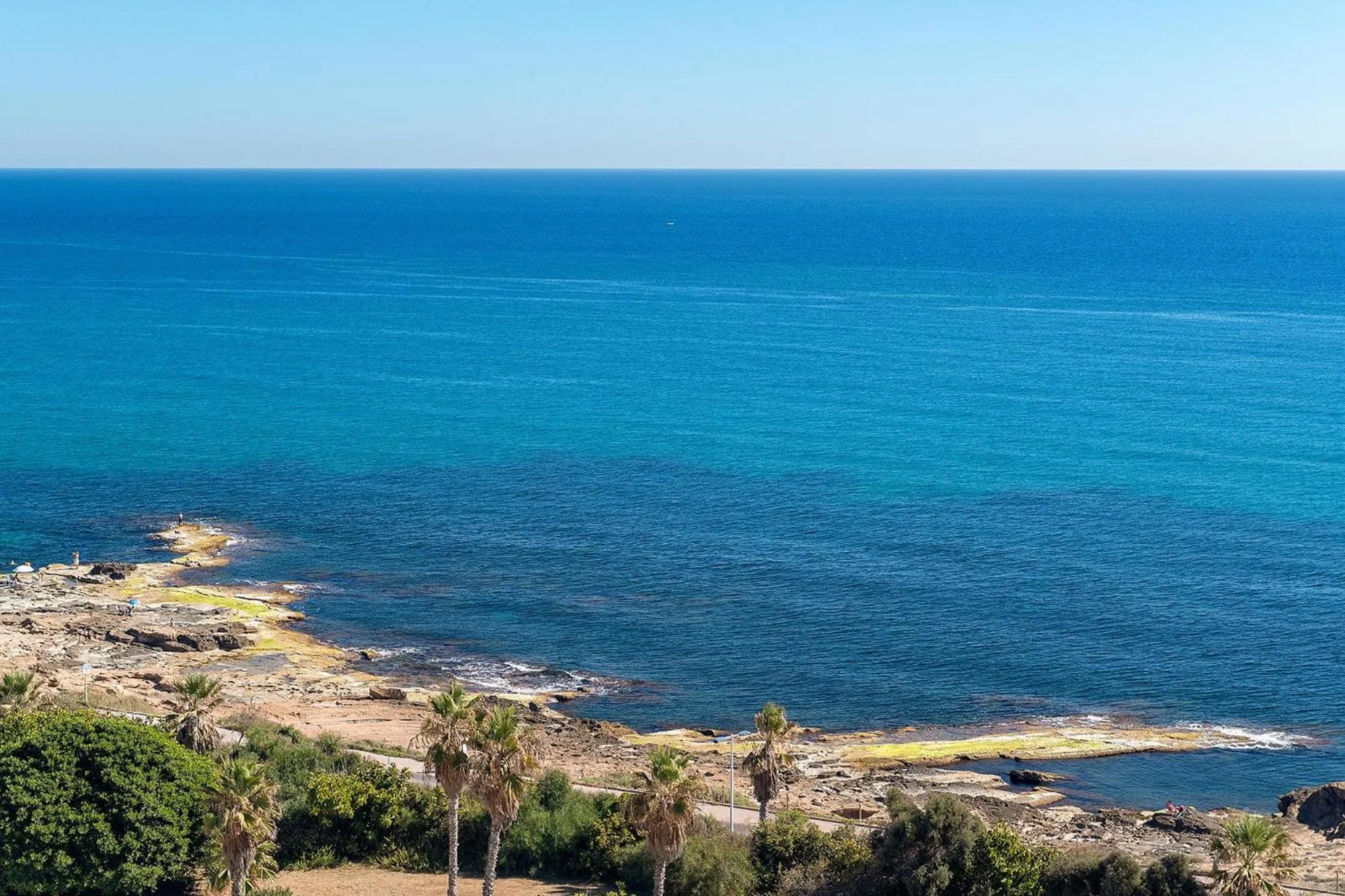 Natural landscape in Hotel Playas de Torrevieja