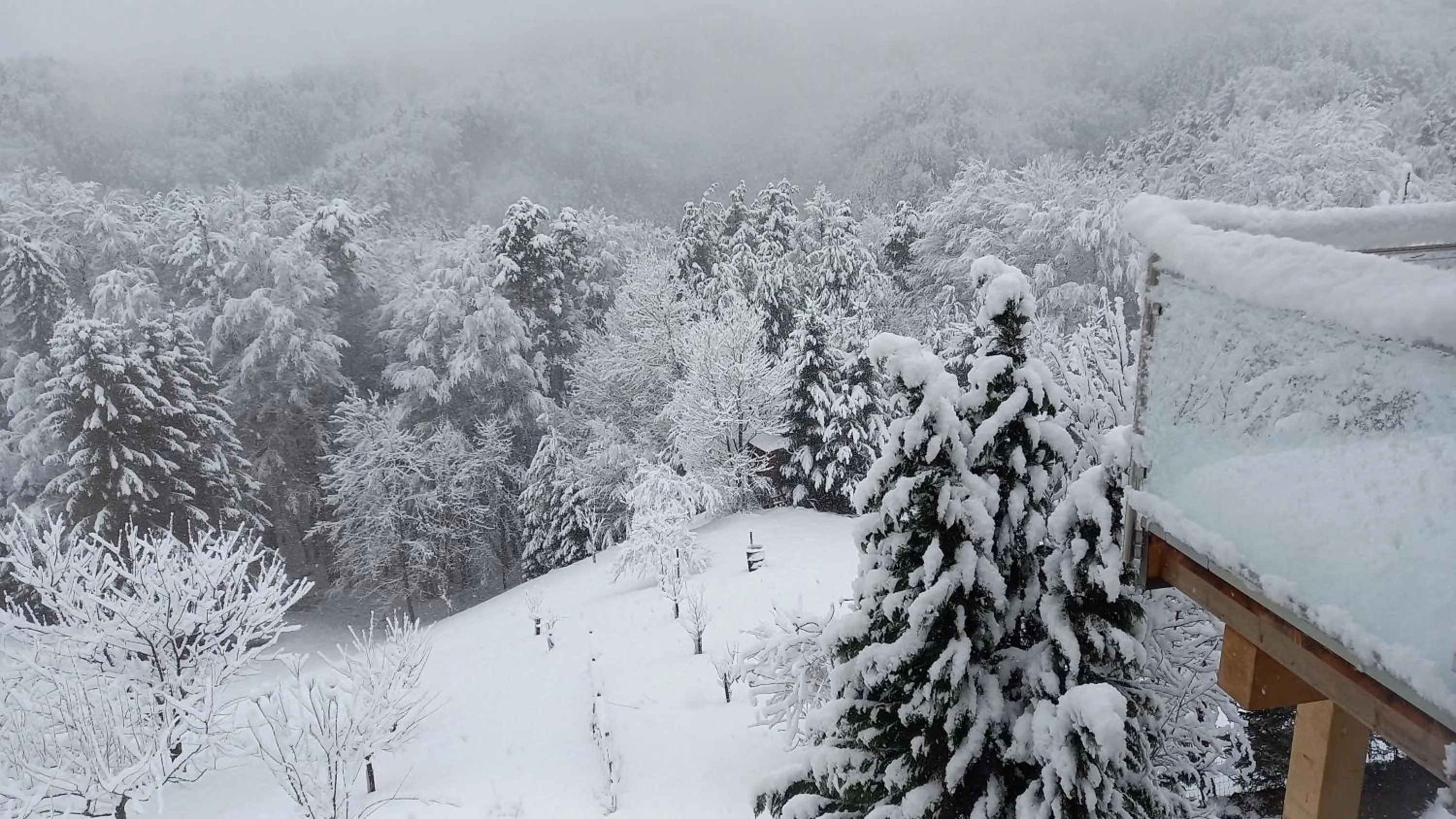 Appartement Fam.Kremser