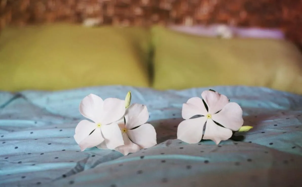 Bed in SAME SAME Bungalows - ECO Friendly