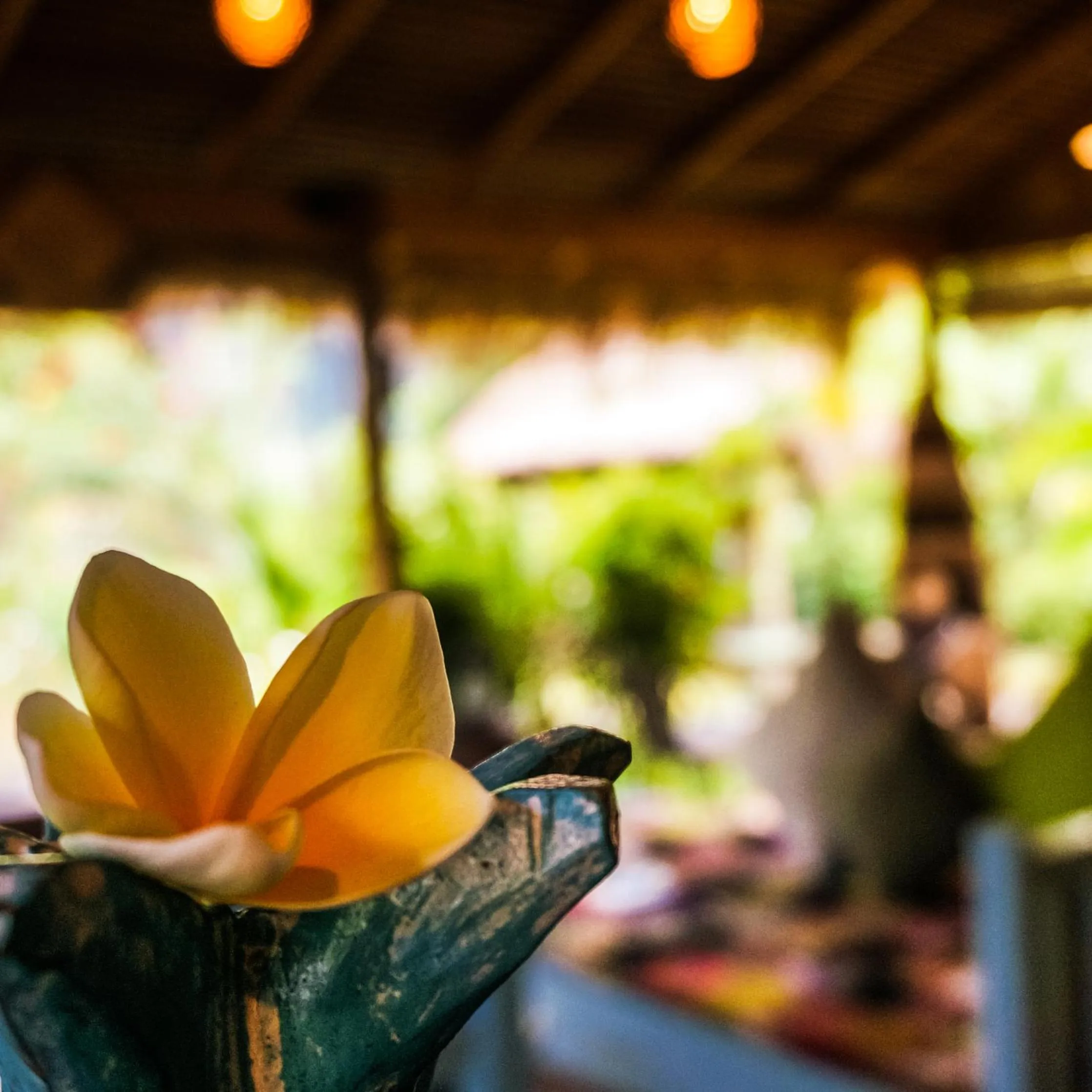 SAME SAME Bungalows - ECO Friendly