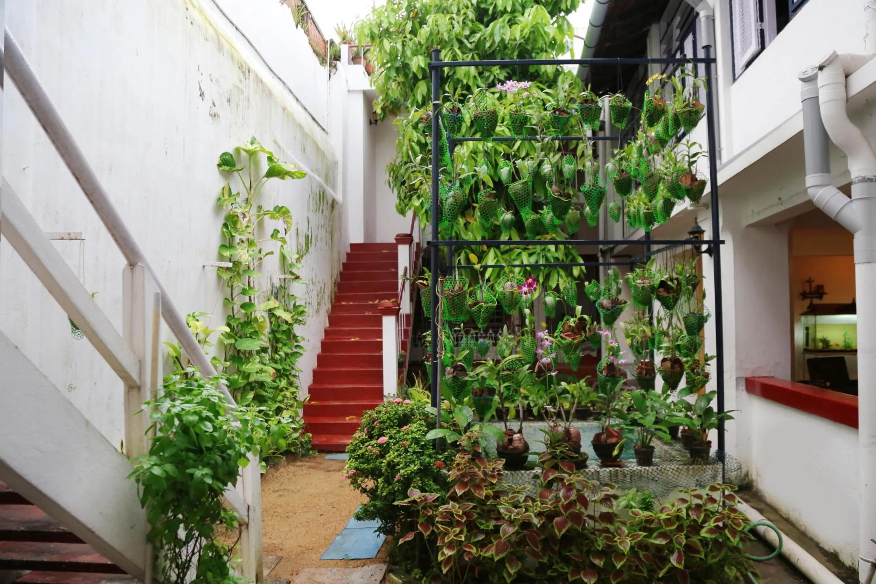 Breakfast in Walton's Homestay, Fort Cochin