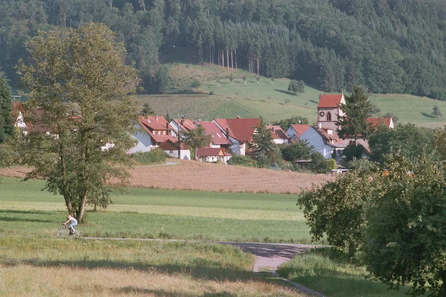Area and facilities in Landgasthof Ochsen