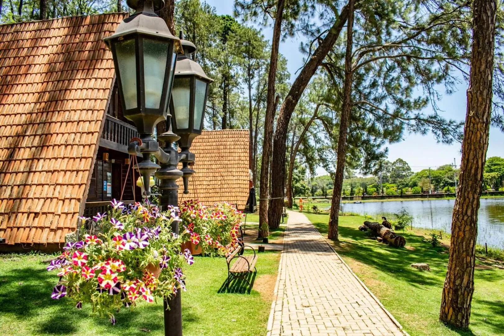 Activities in Royal Tulip Holambra