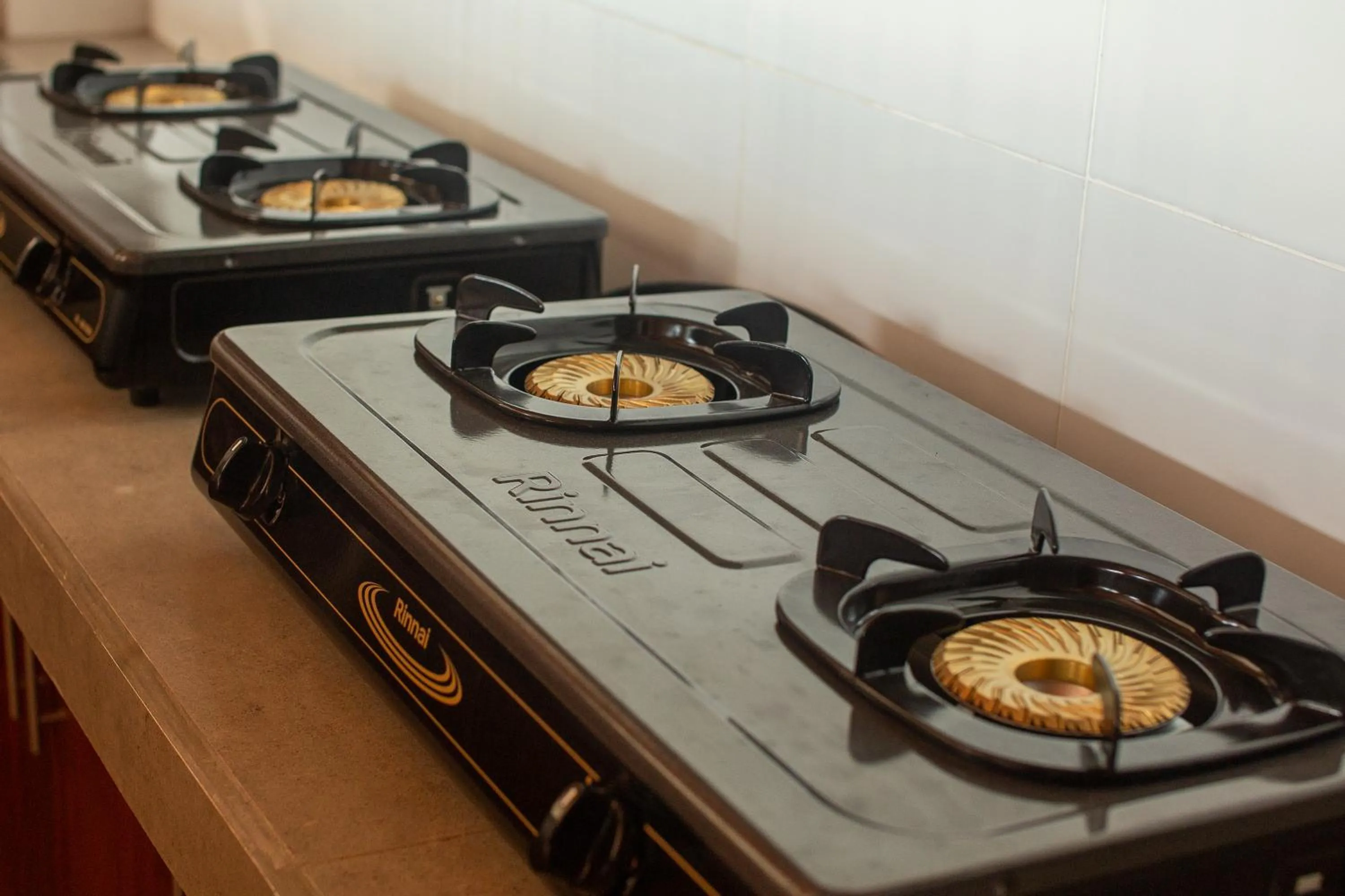 Communal kitchen in Frangipani House and Spa by ecommerceloka