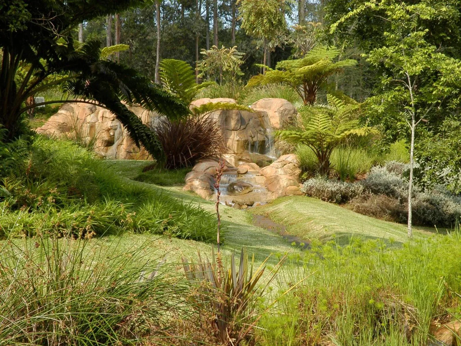 Garden in Penny's Place on Greenway