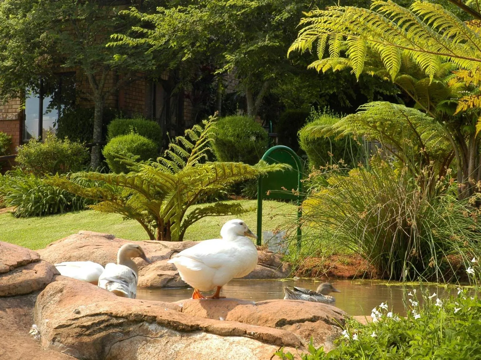 Garden in Penny's Place on Greenway