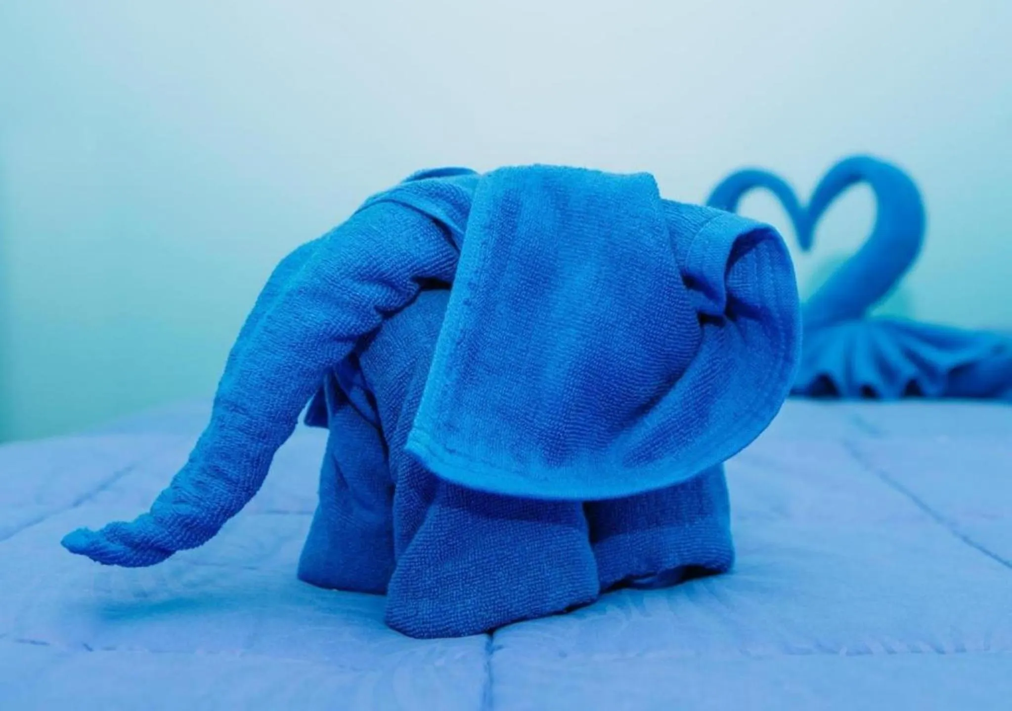 towels in PATONG BLUE HOTEL