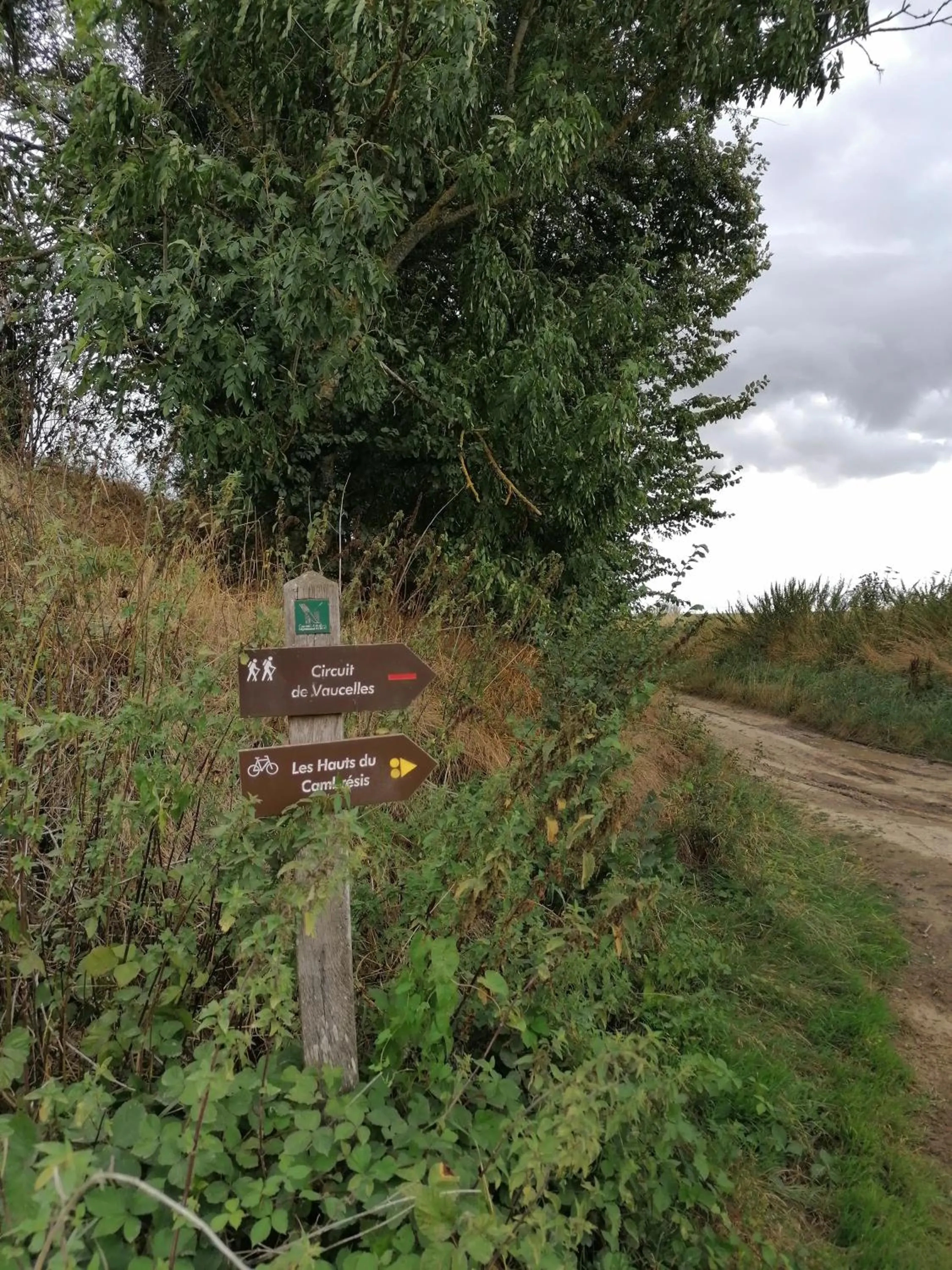 Activities in Studio Ferme de Bonavis