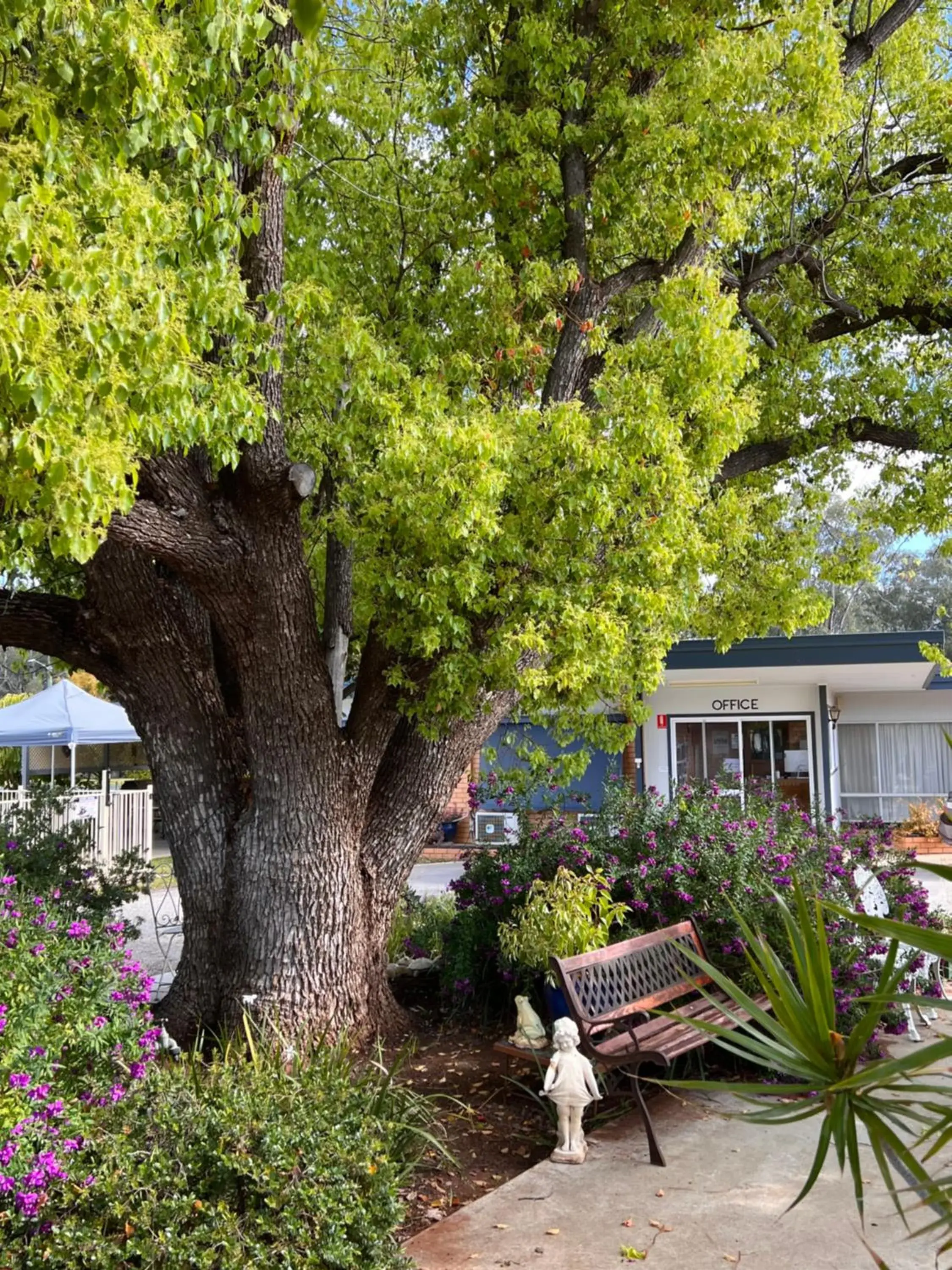 Deluxe Family Room in Sturt Motel Balranald Deluxe Family Room in Sturt Motel Balranald