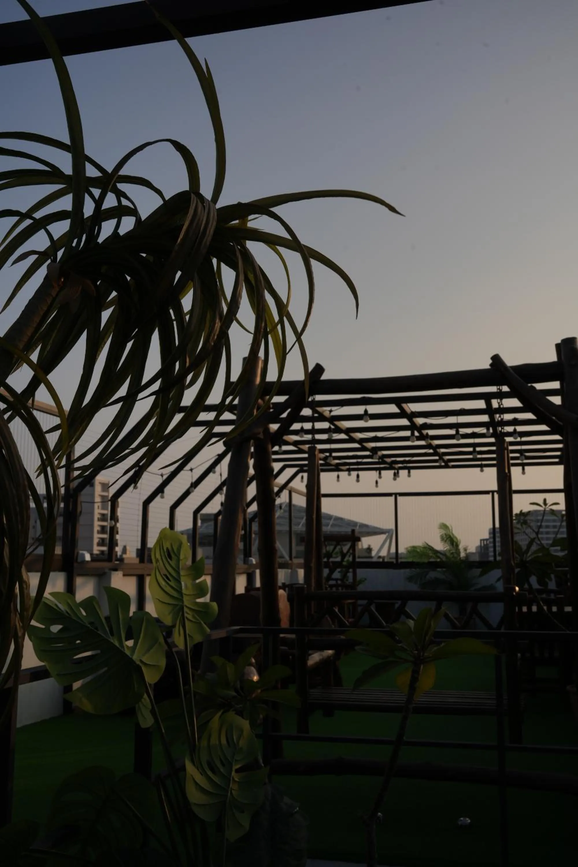 Garden in The MSUG Hotel