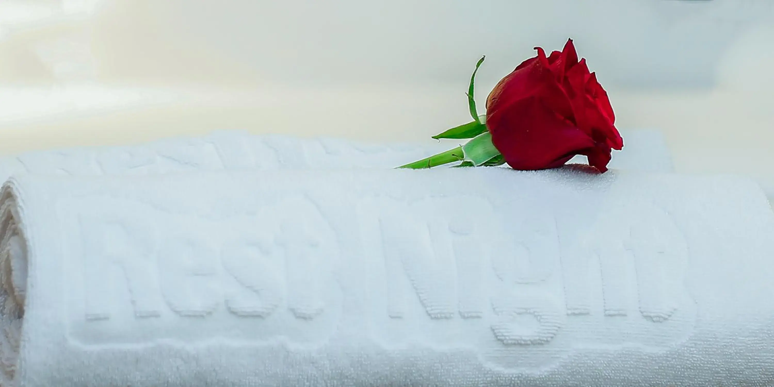 Superior Apartment in Rest Night Serviced Apartments- AlHamra Superior Apartment in Rest Night Serviced Apartments- AlHamra