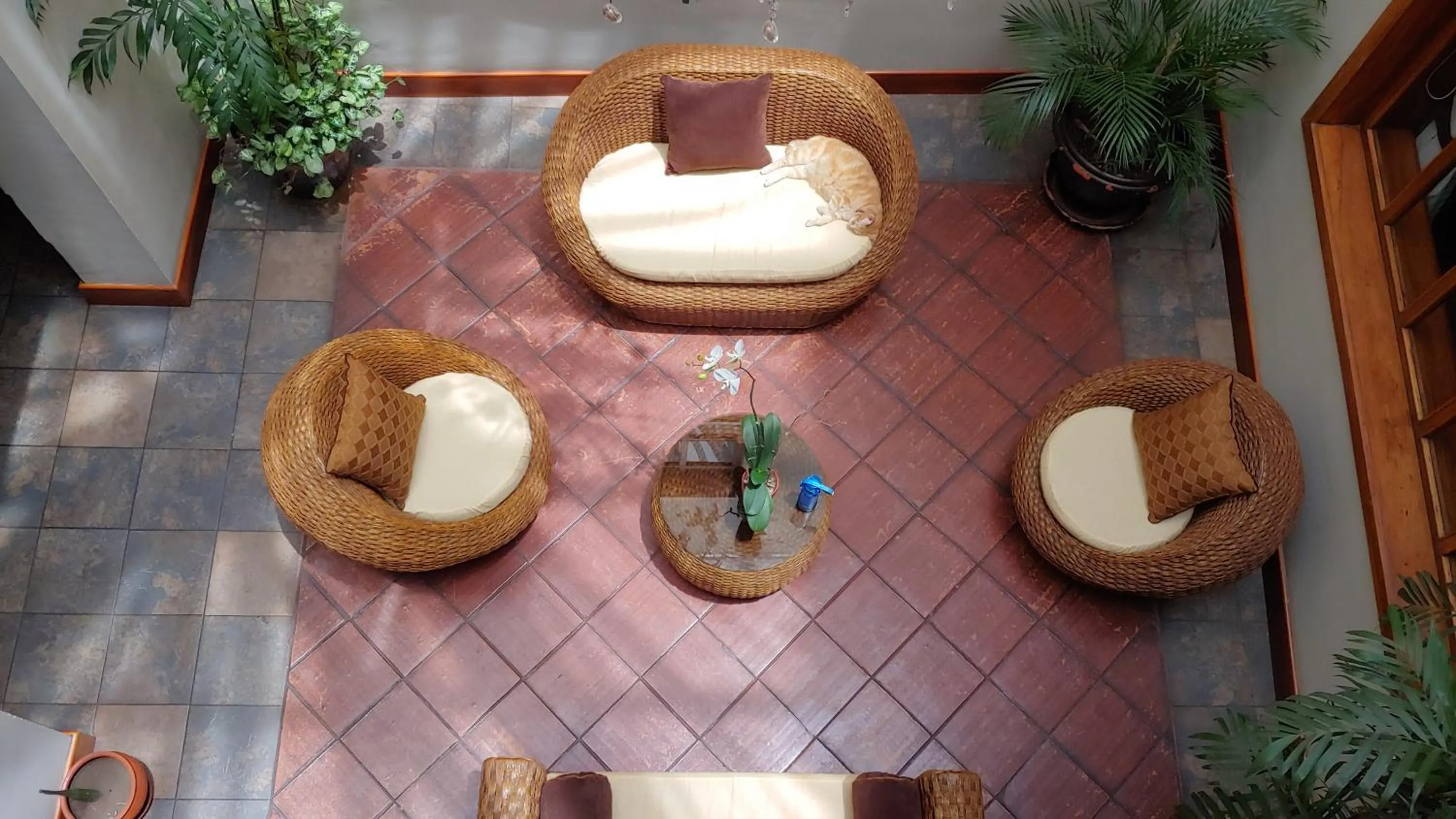 Patio in Pepe's House Cuenca I Hotel & Boutique Hostel