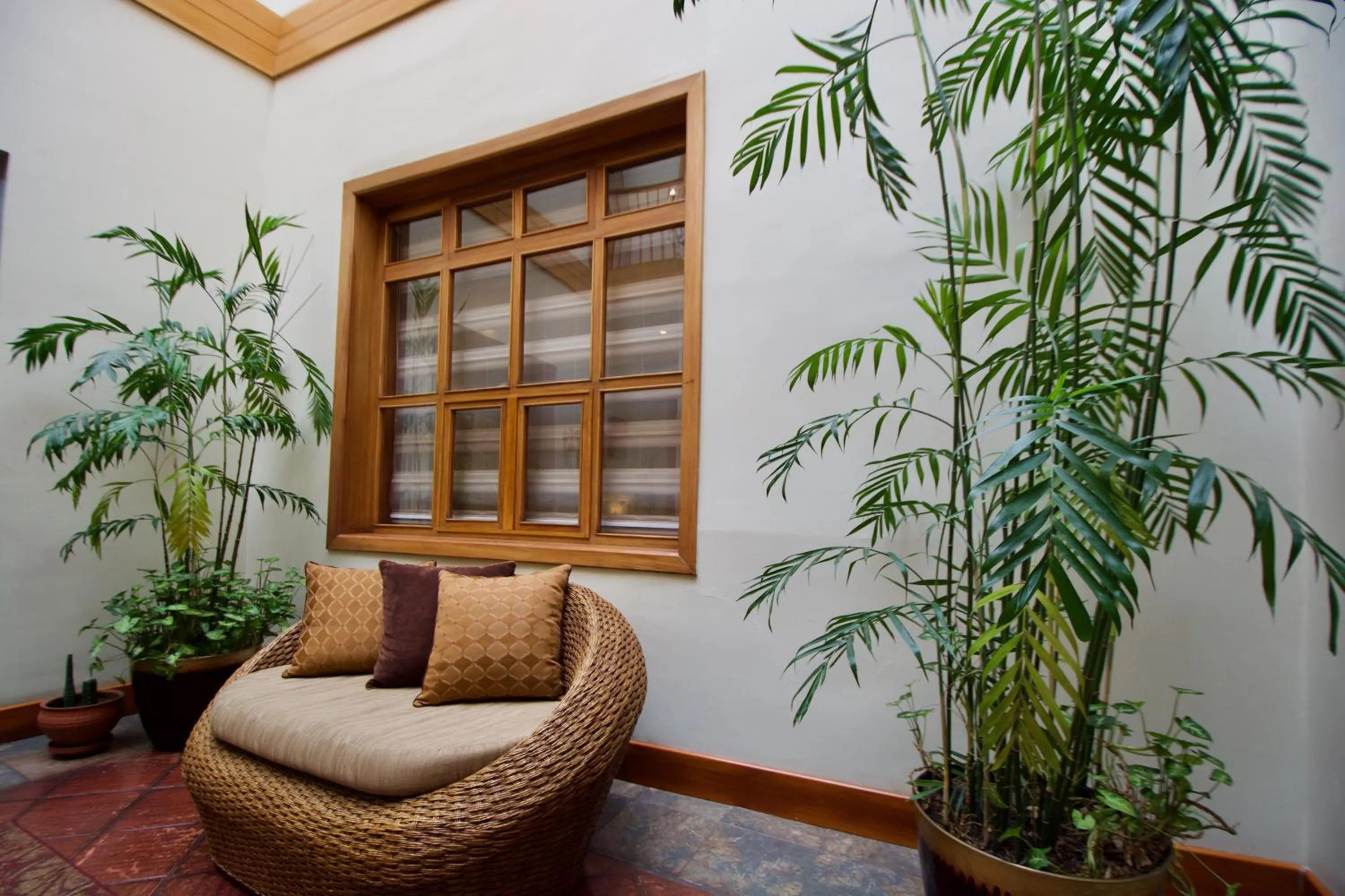 Patio in Pepe's House Cuenca I Hotel & Boutique Hostel