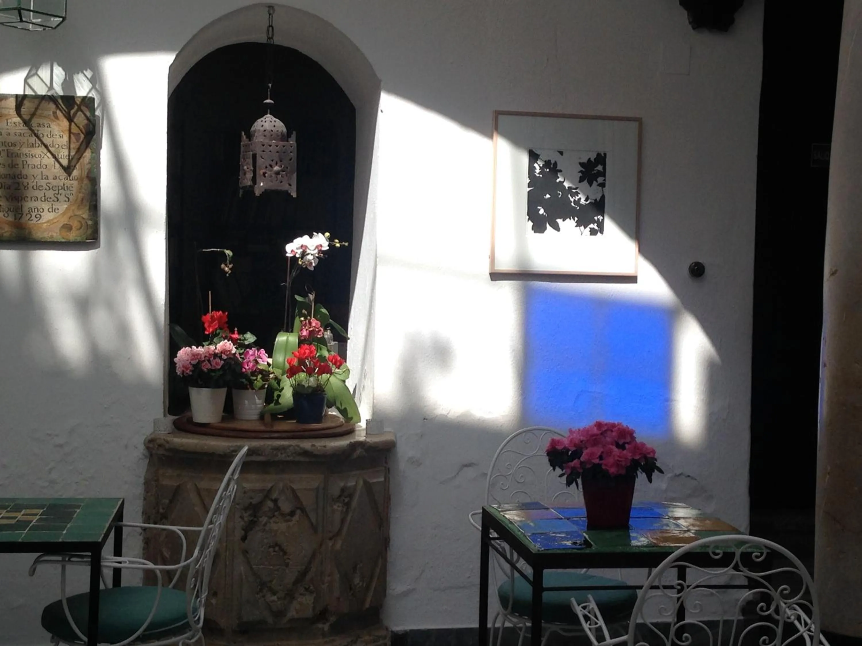 Patio in La Casa Grande