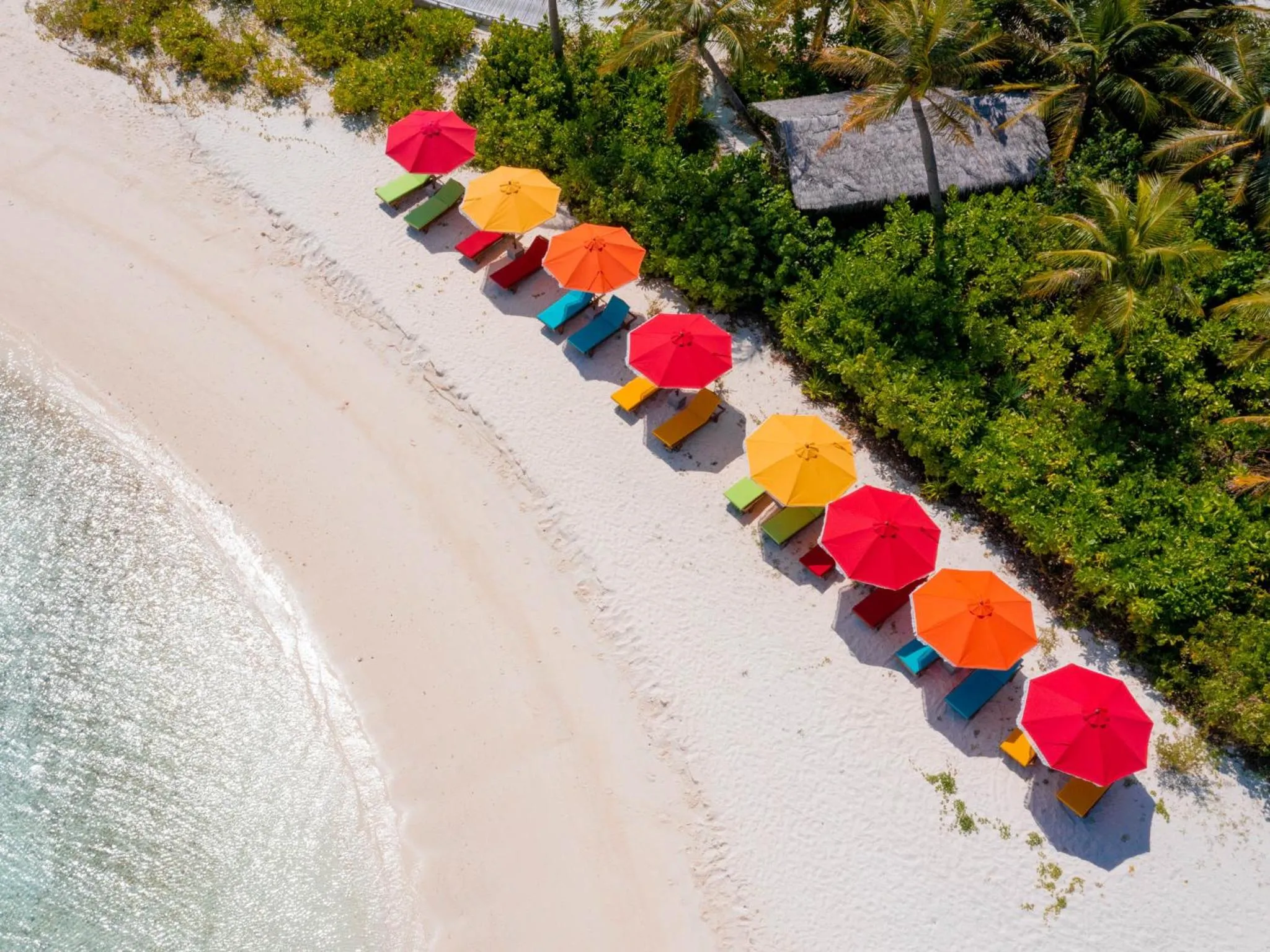 Day in Oaga Art Resort Maldives - Greatest All Inclusive Plan with Free Speedboat Round-trip