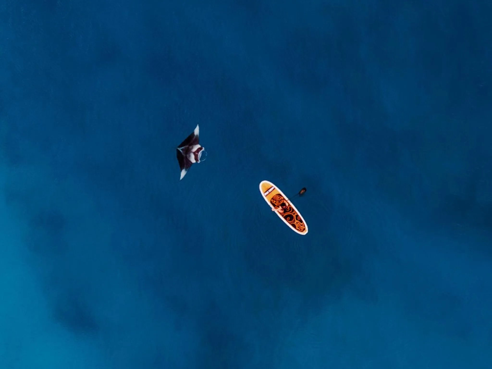 Activities in Oaga Art Resort Maldives - Greatest All Inclusive Plan with Free Speedboat Round-trip