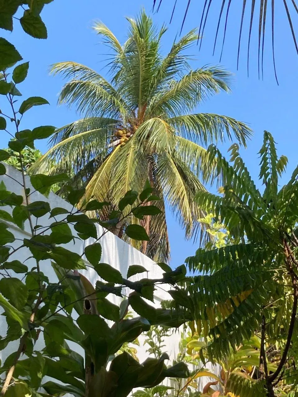 Guests in Gaskara Guesthouse