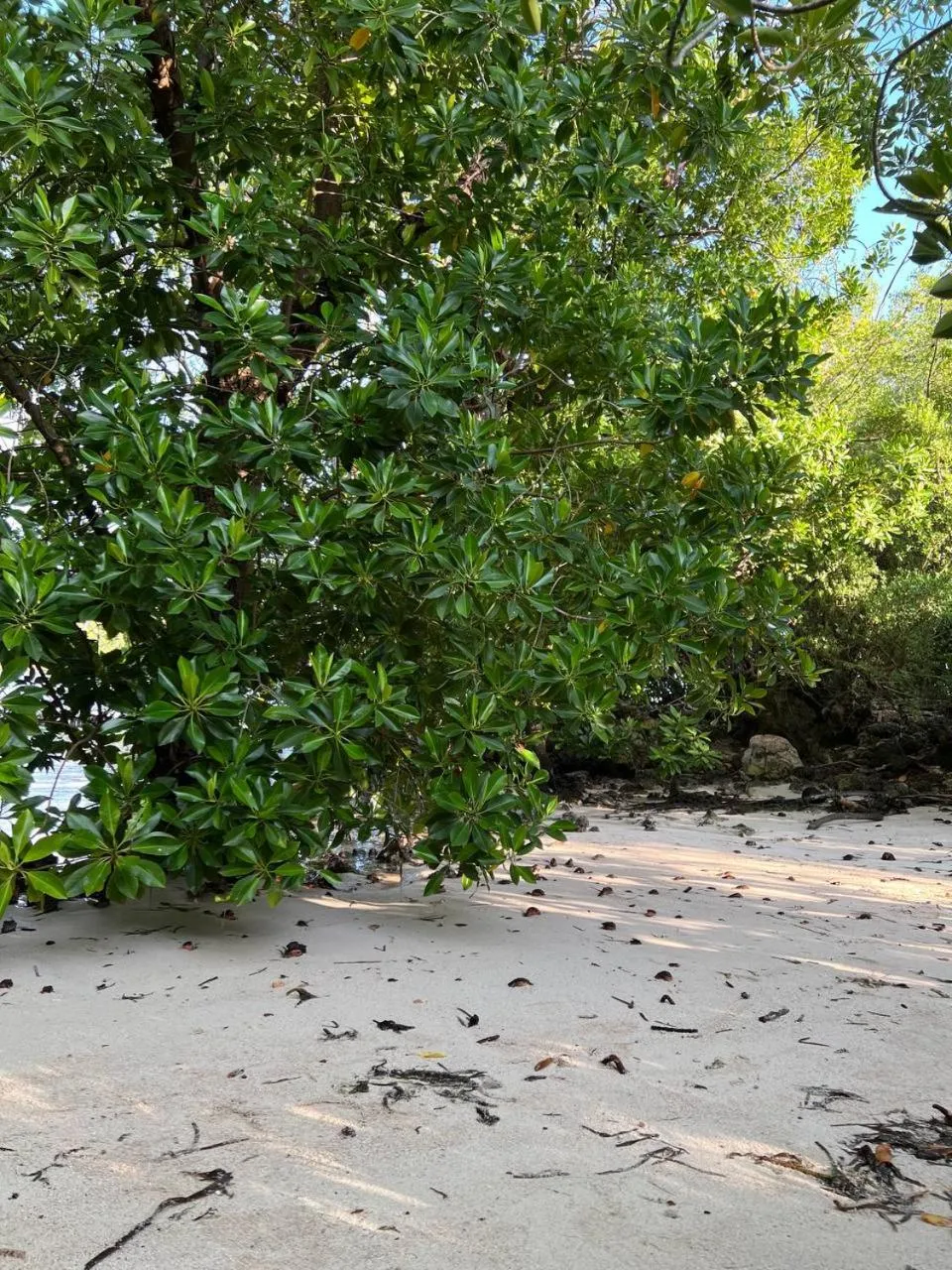 Day in Gaskara Guesthouse