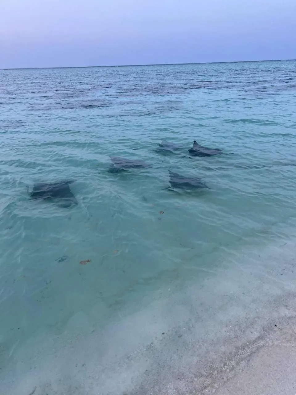 Day in Gaskara Guesthouse