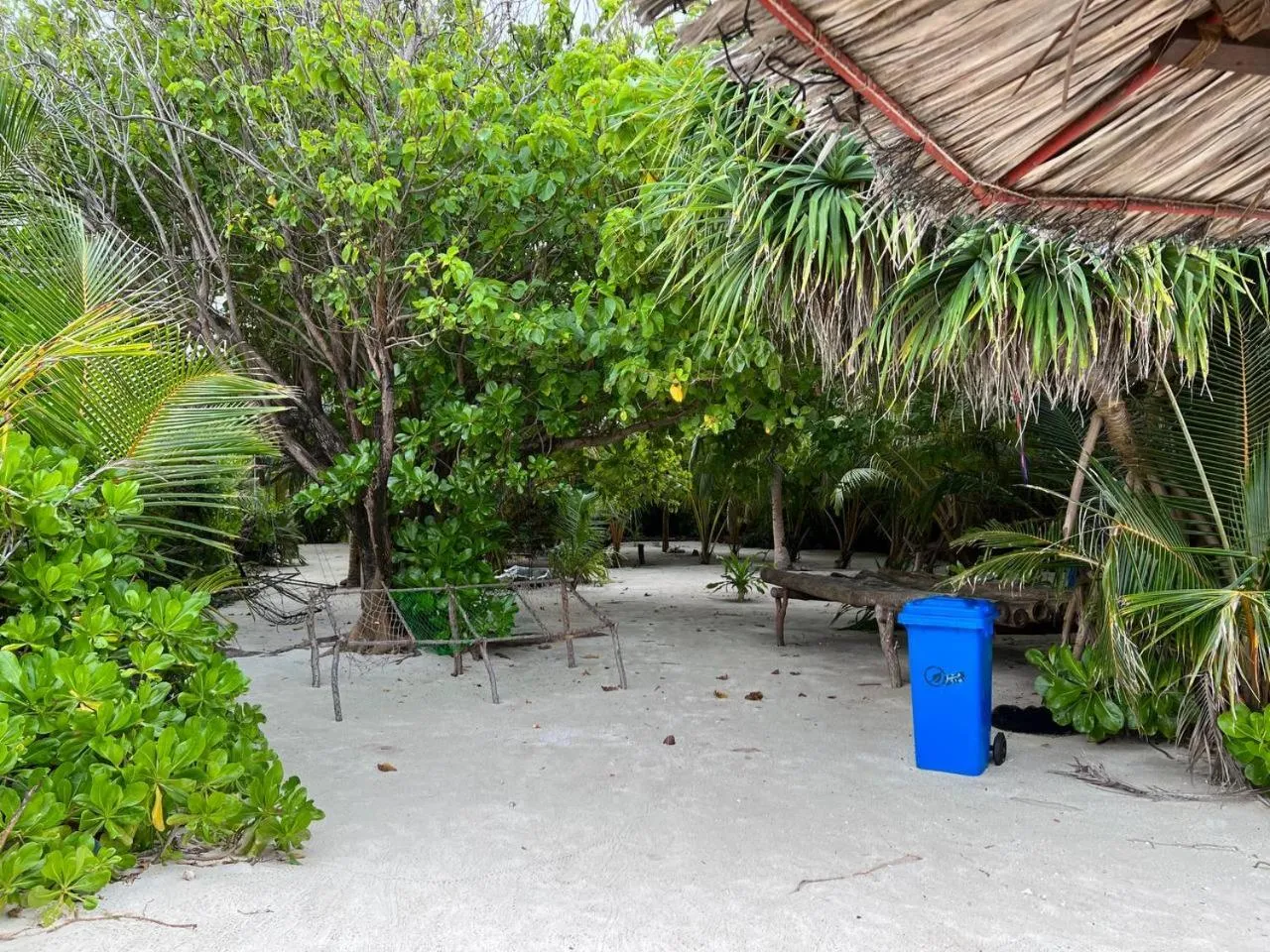 Day in Gaskara Guesthouse