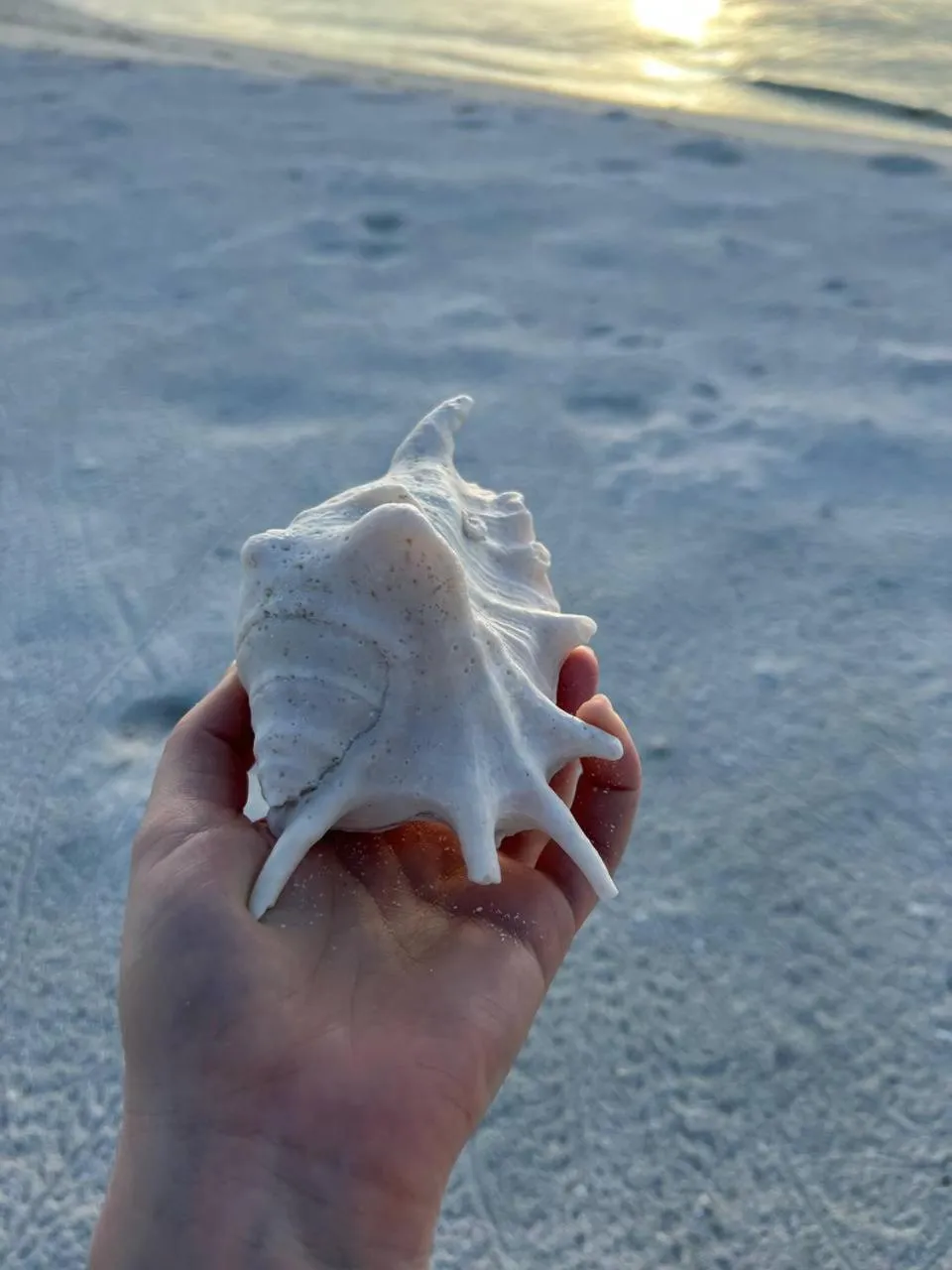 Natural landscape in Gaskara Guesthouse