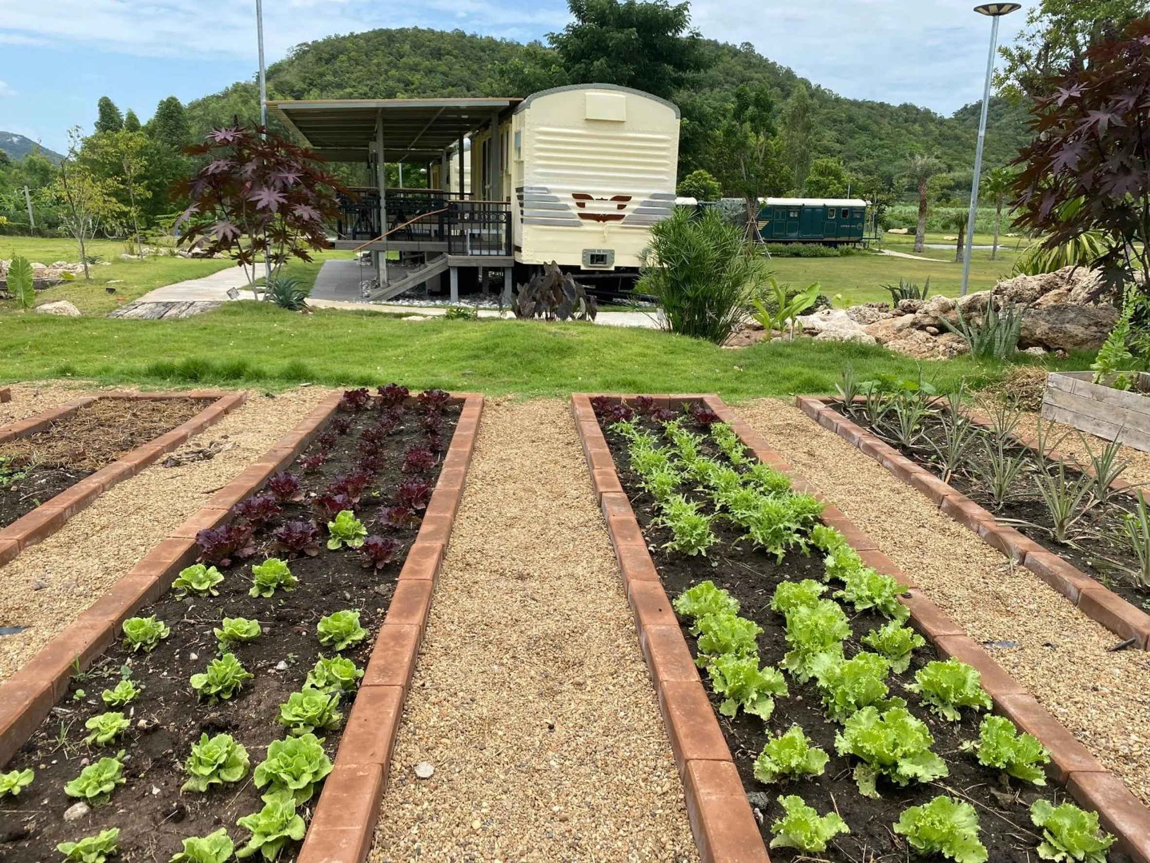 Natural landscape in Nex Station Kanchanaburi