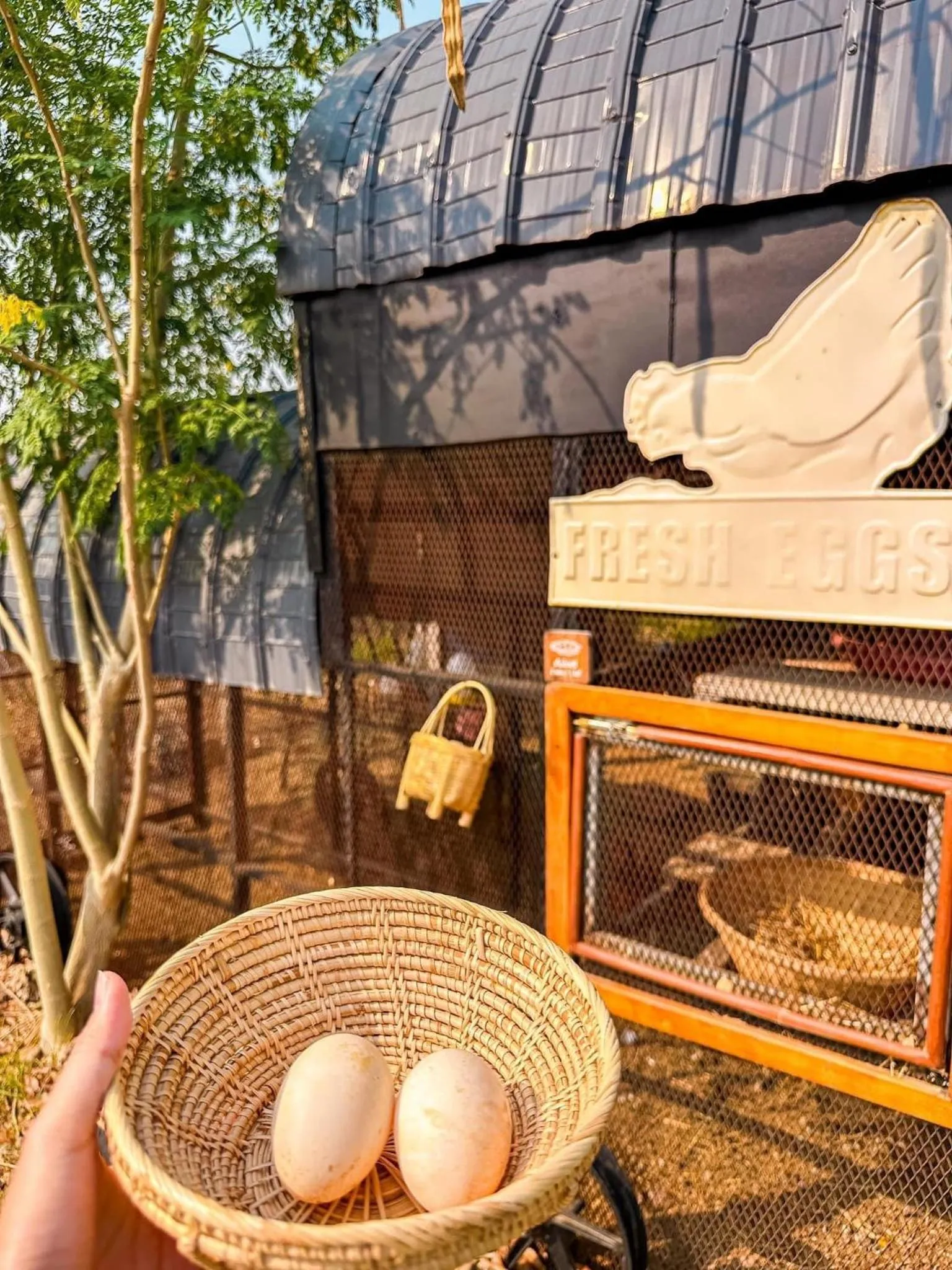 Nex Station Kanchanaburi