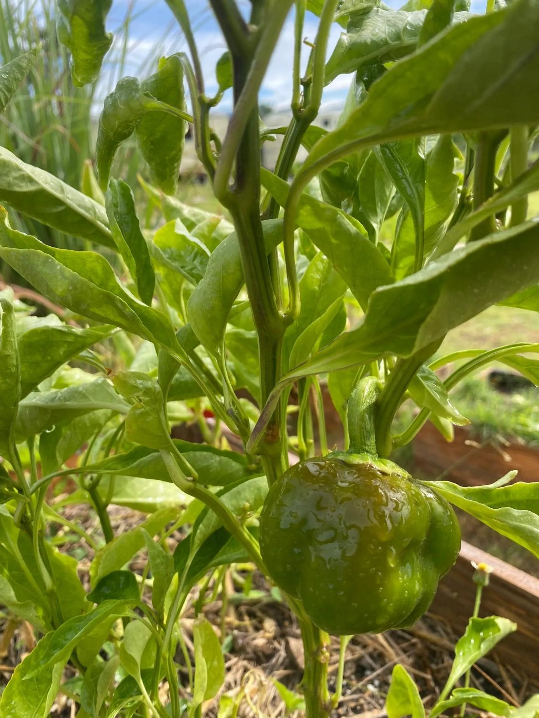 Day in Nex Station Kanchanaburi