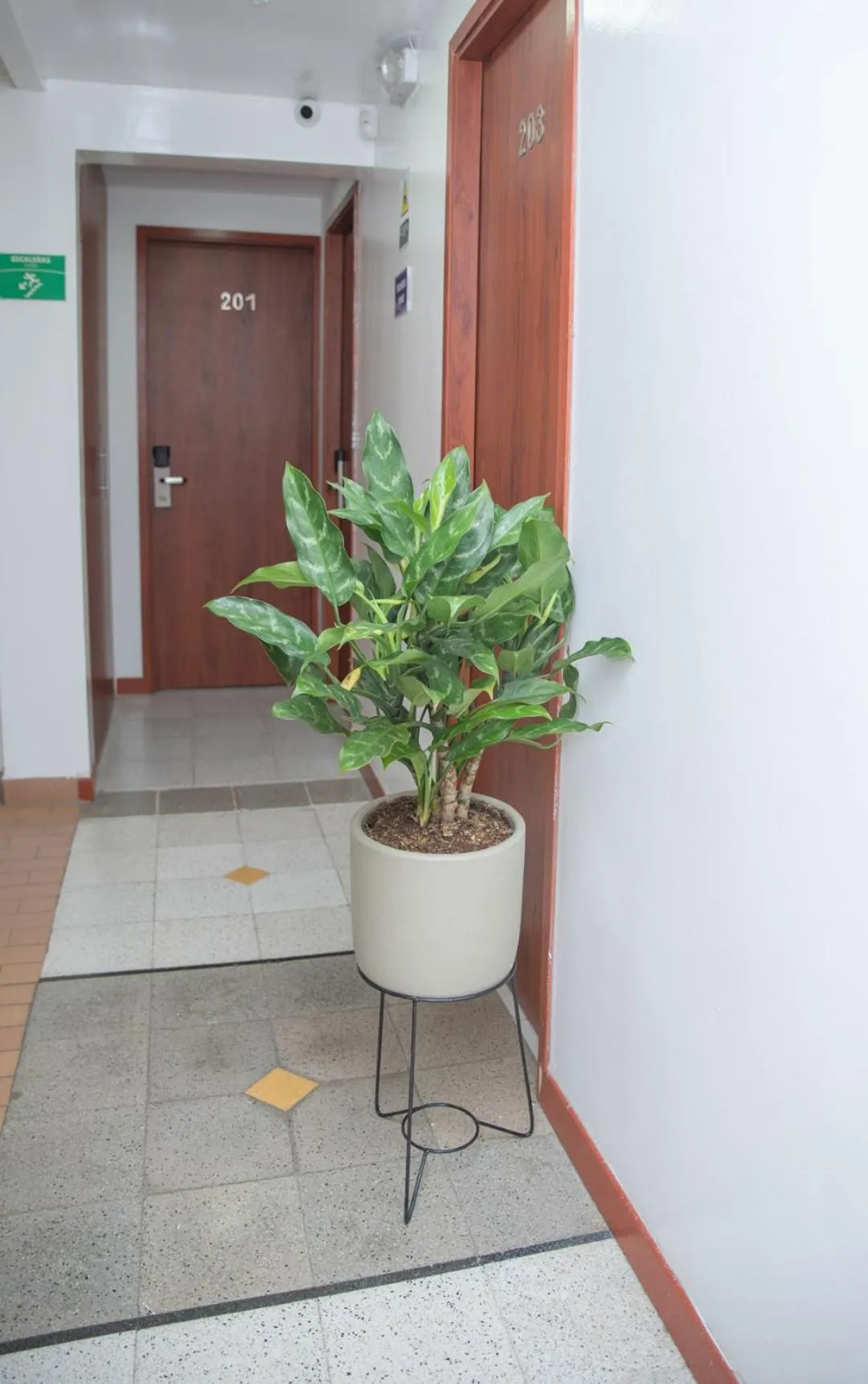 Hotel Villa Park Real