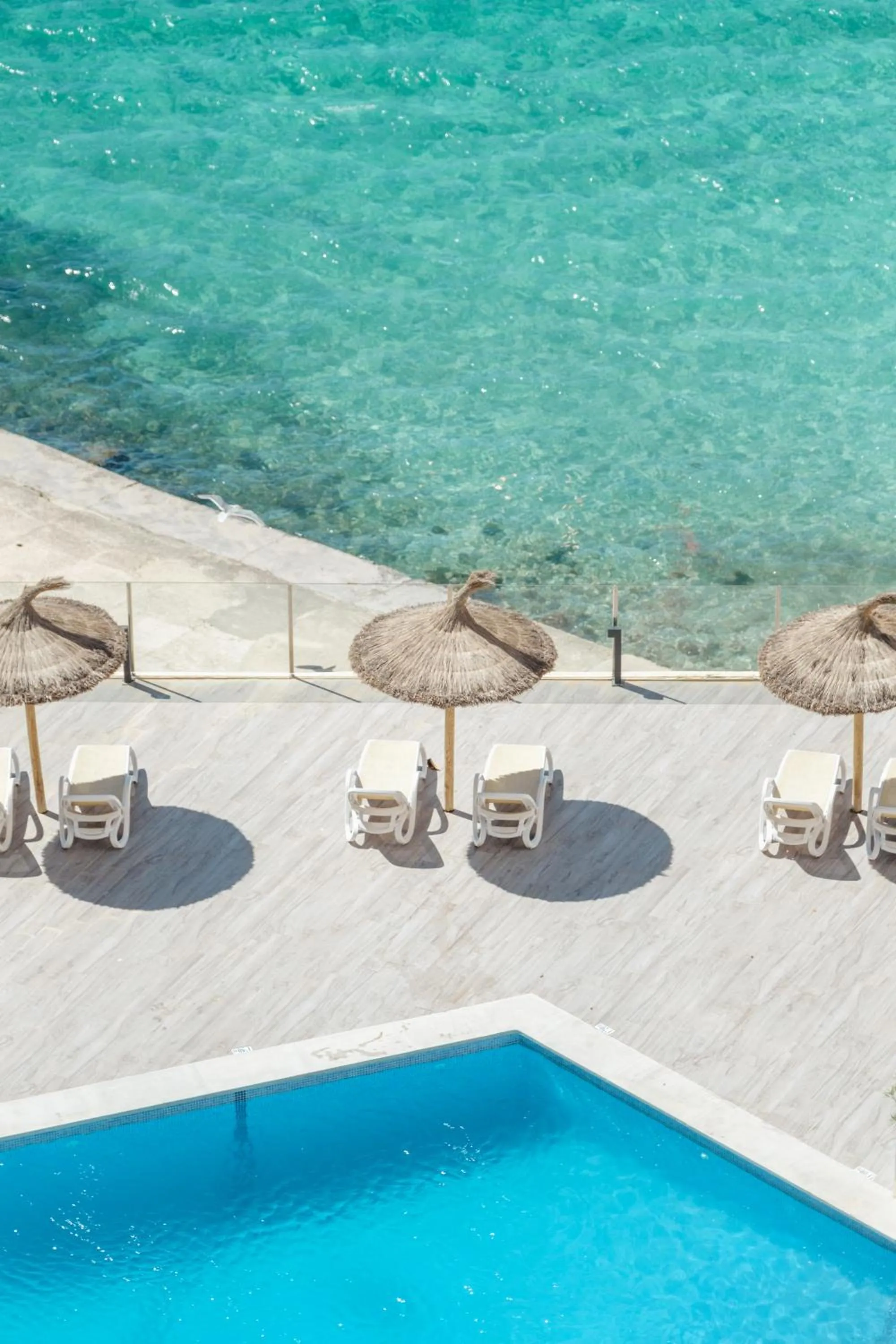 Day in Bahia Principe Sunlight Coral Playa - Adults Only