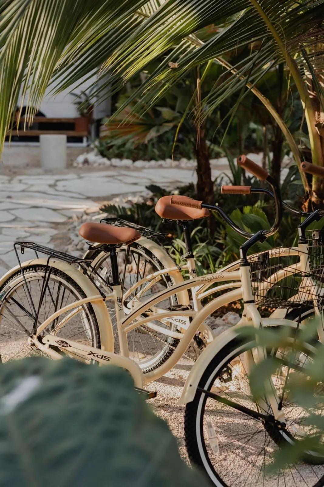 Cycling in Sendero Hotel