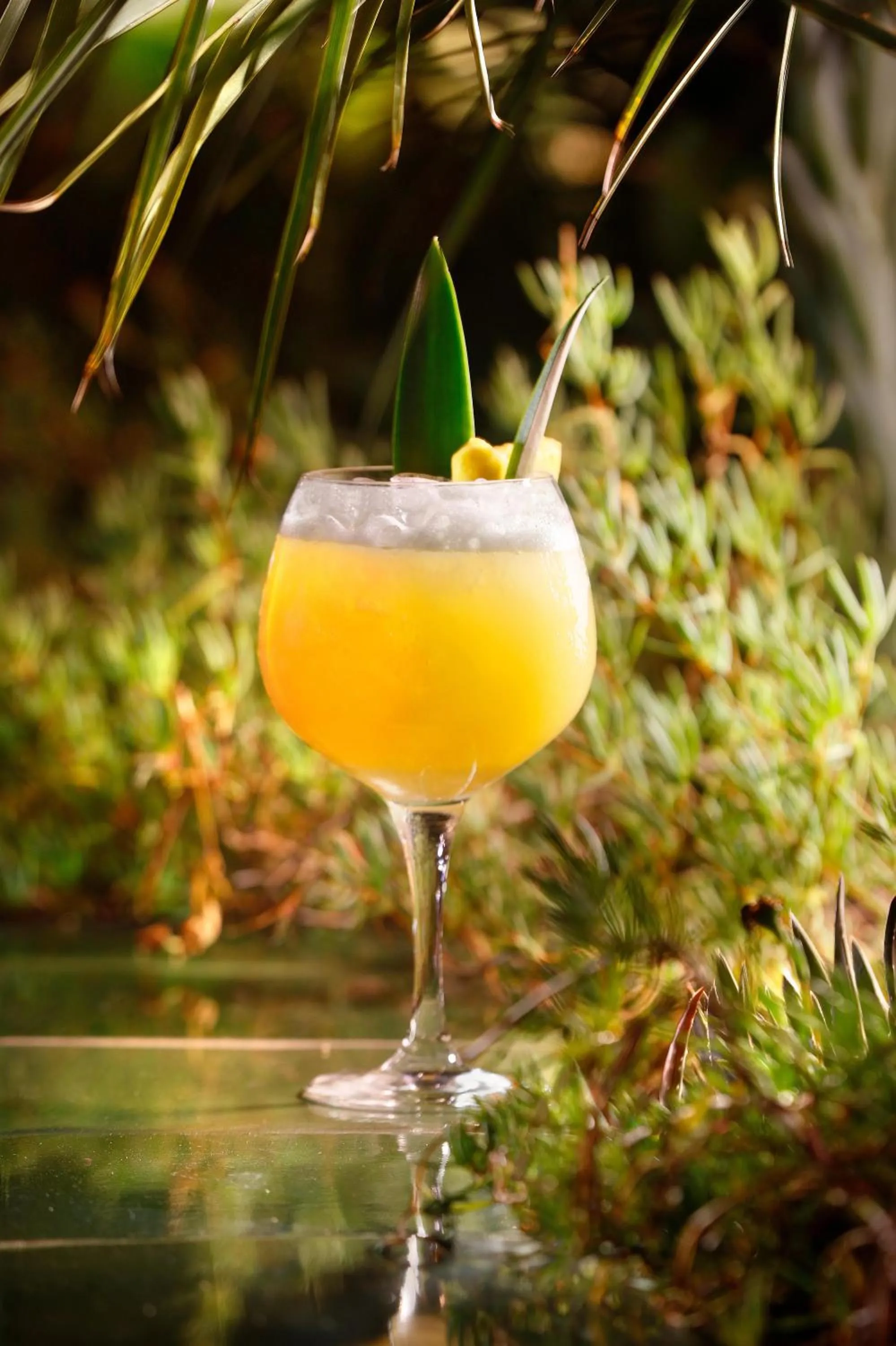 Restaurant/places to eat in HCC Montblanc