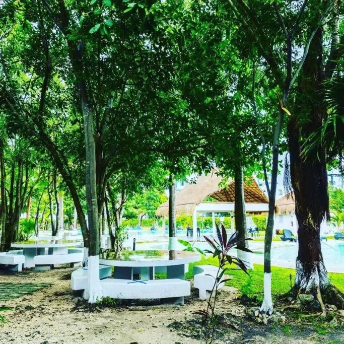 Hermoso apartamento piscina, céntrico, área libre.