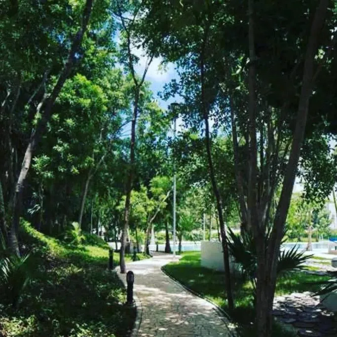 Hermoso apartamento piscina, céntrico, área libre.