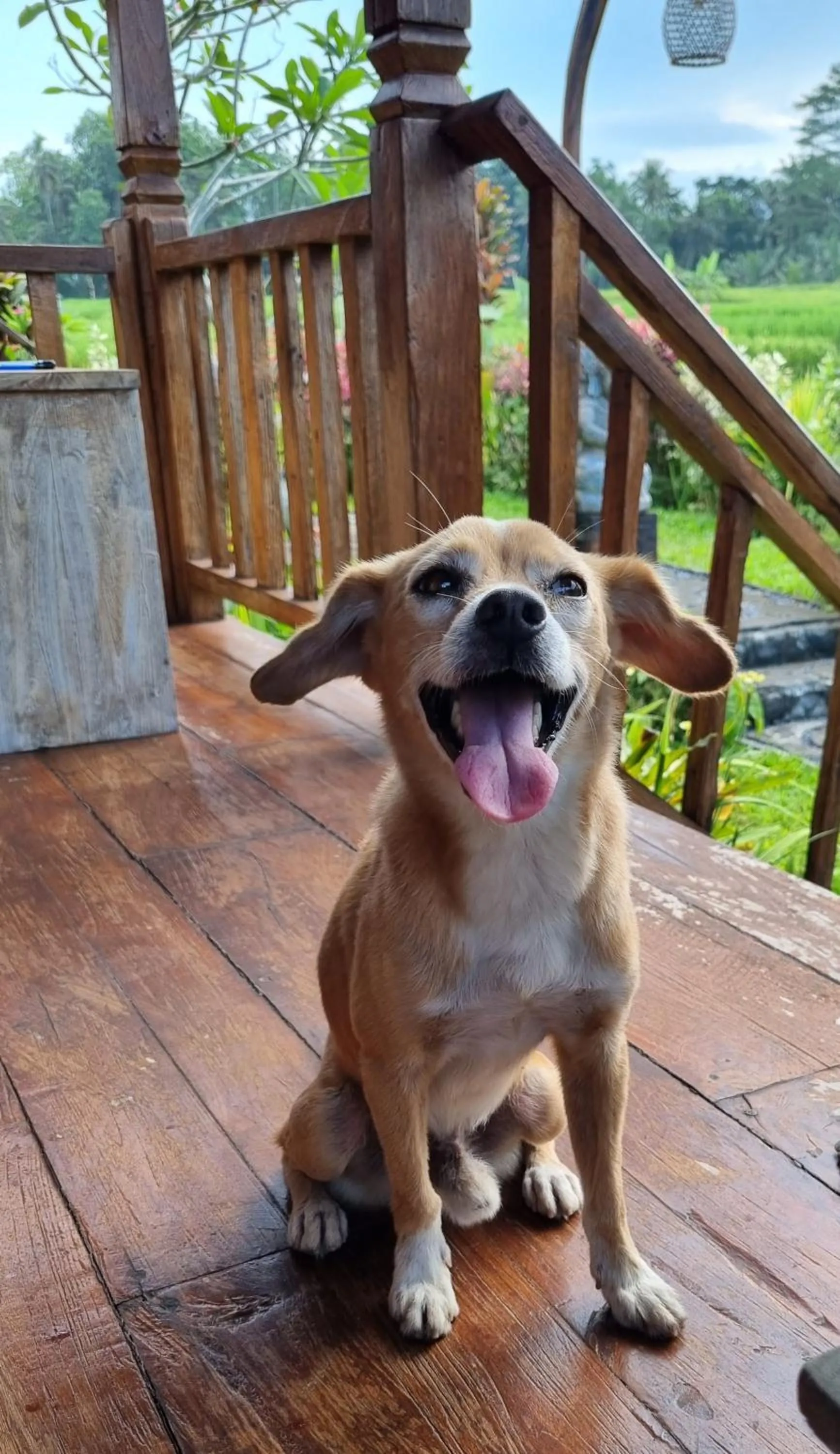 Property building in Sirya Farm House