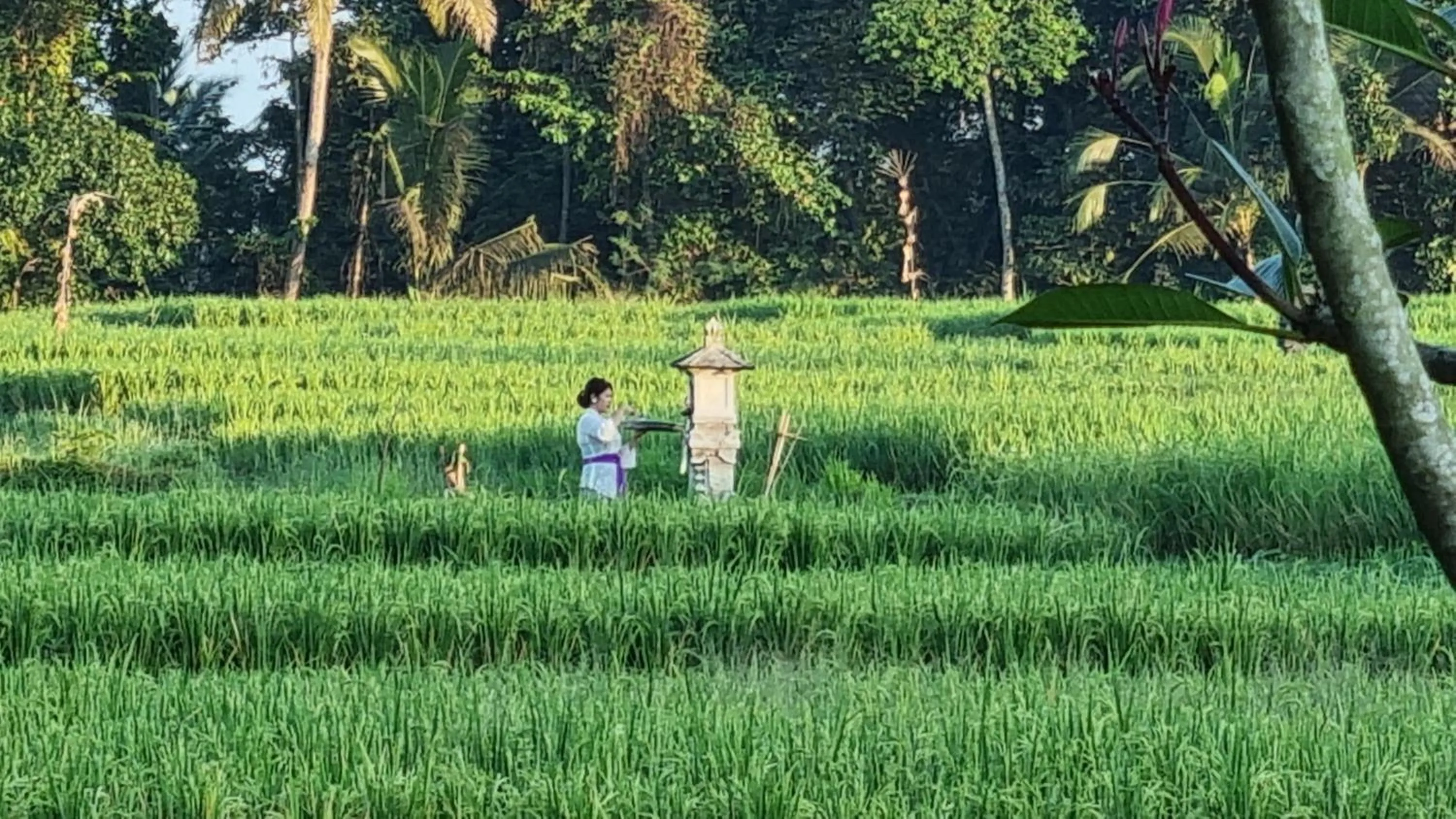 Landmark view in Sirya Farm House