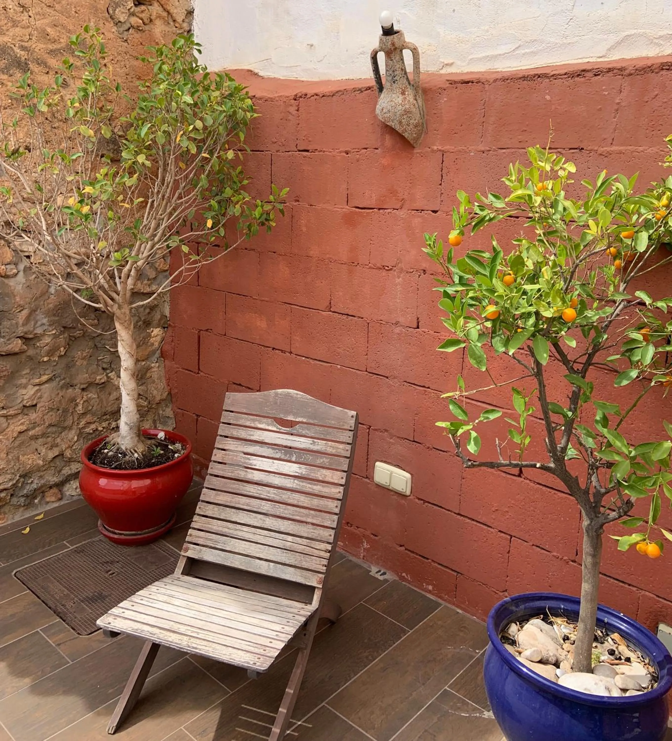 Garden in Boutique Hostal Lorca