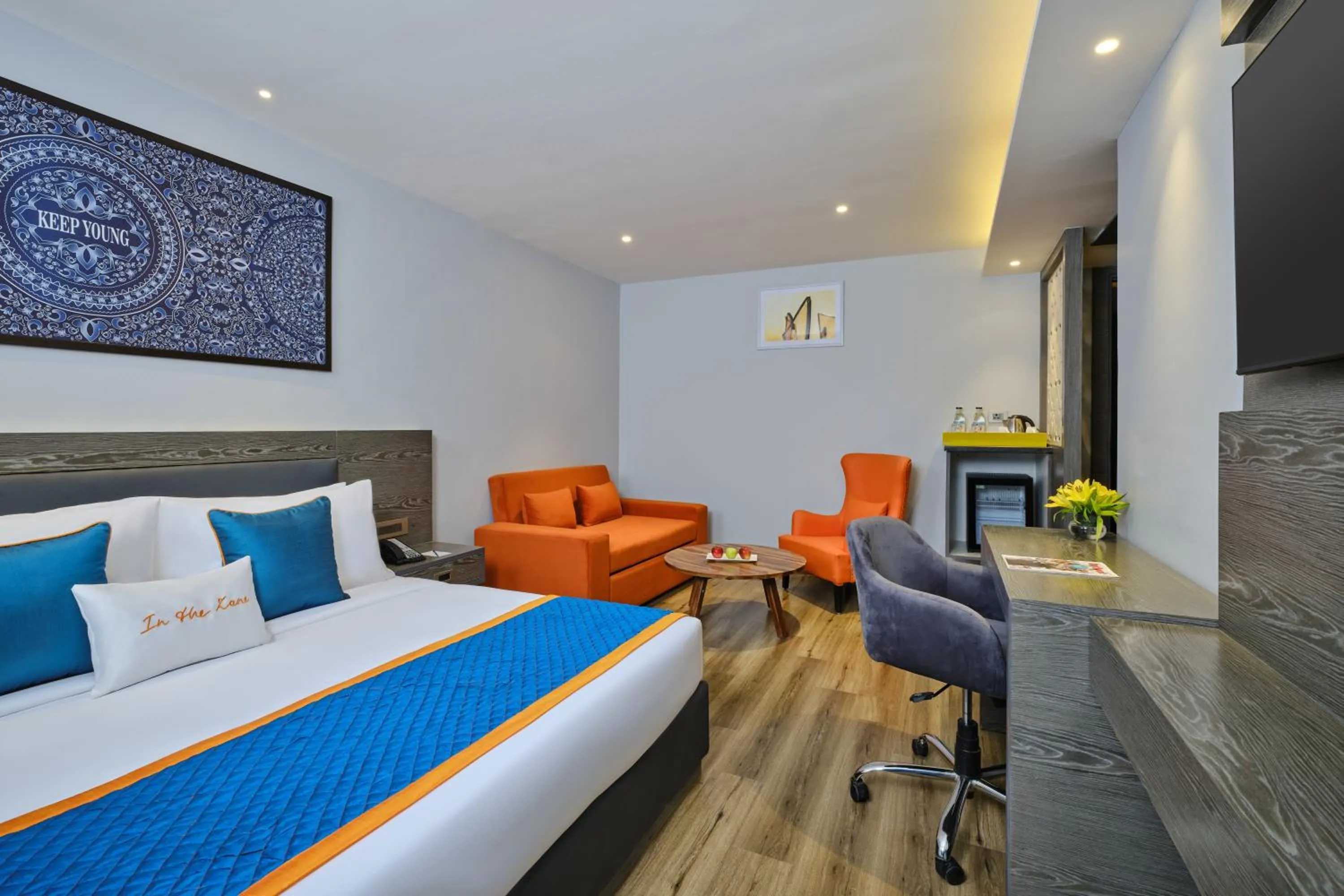 TV and multimedia in Zone By The Park Pathankot