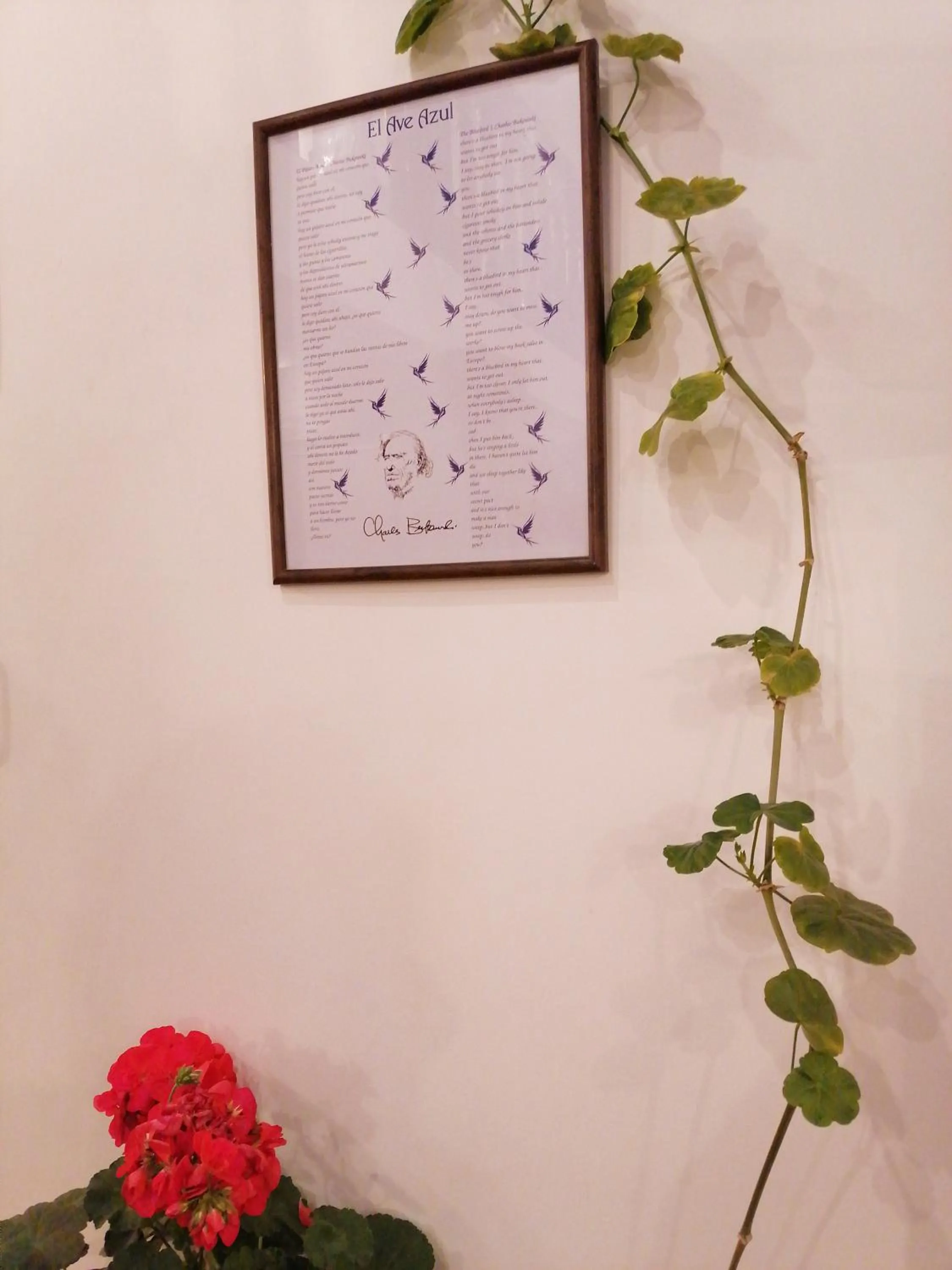 Logo/Certificate/Sign in El Ave Azul Boutique Hotel Cusco