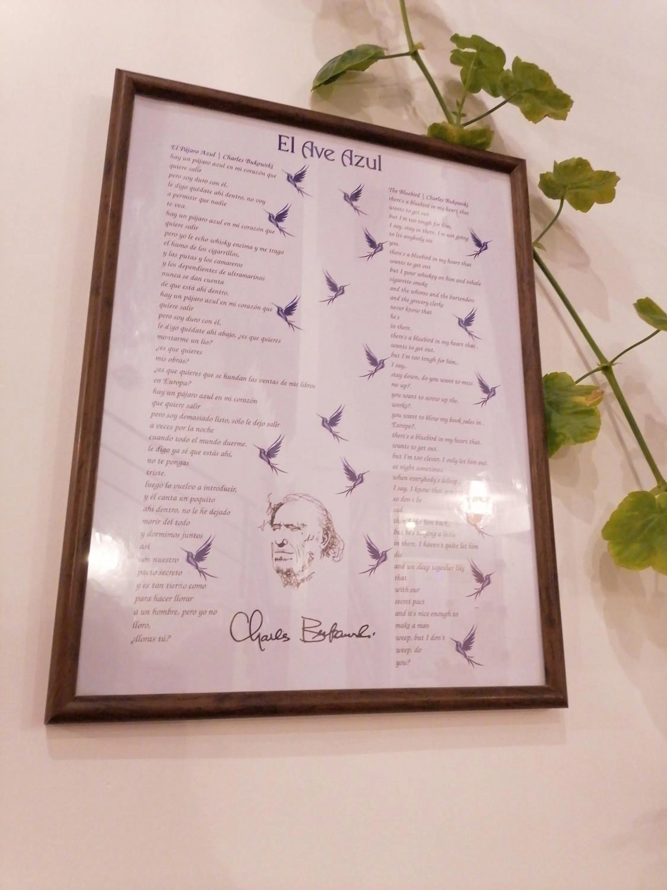 Property logo or sign in El Ave Azul Boutique Hotel Cusco