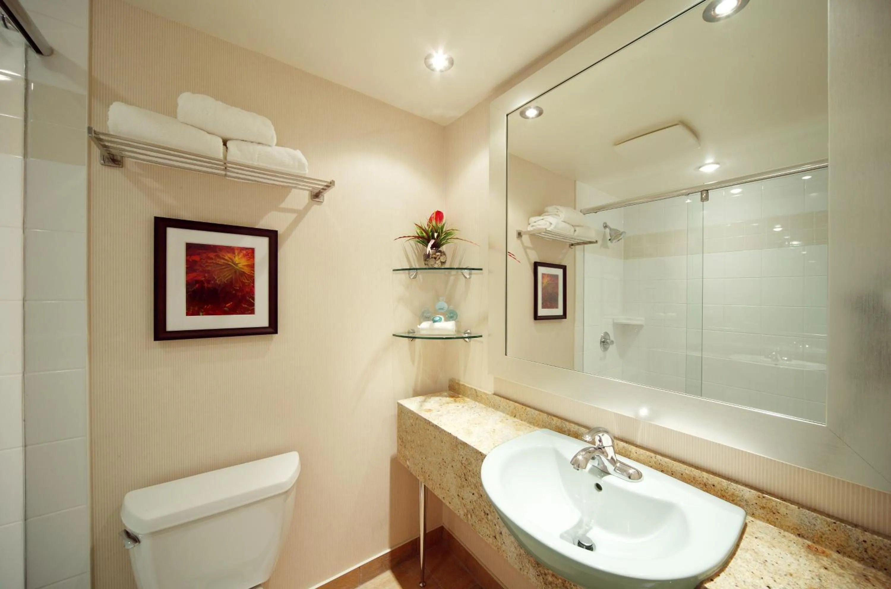 Bathroom in The Water Tower Inn - BW Premier Collection