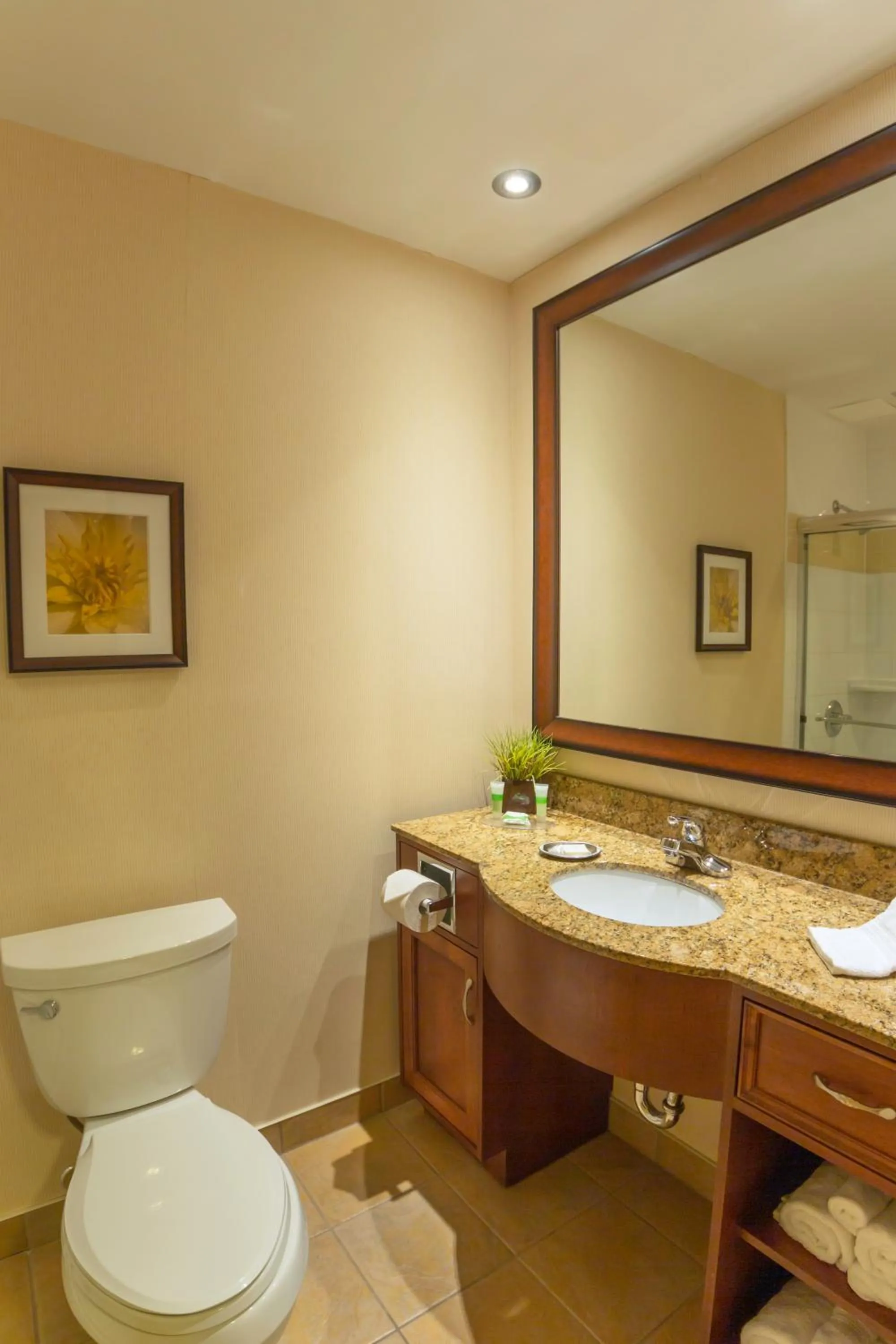 Bathroom in The Water Tower Inn - BW Premier Collection