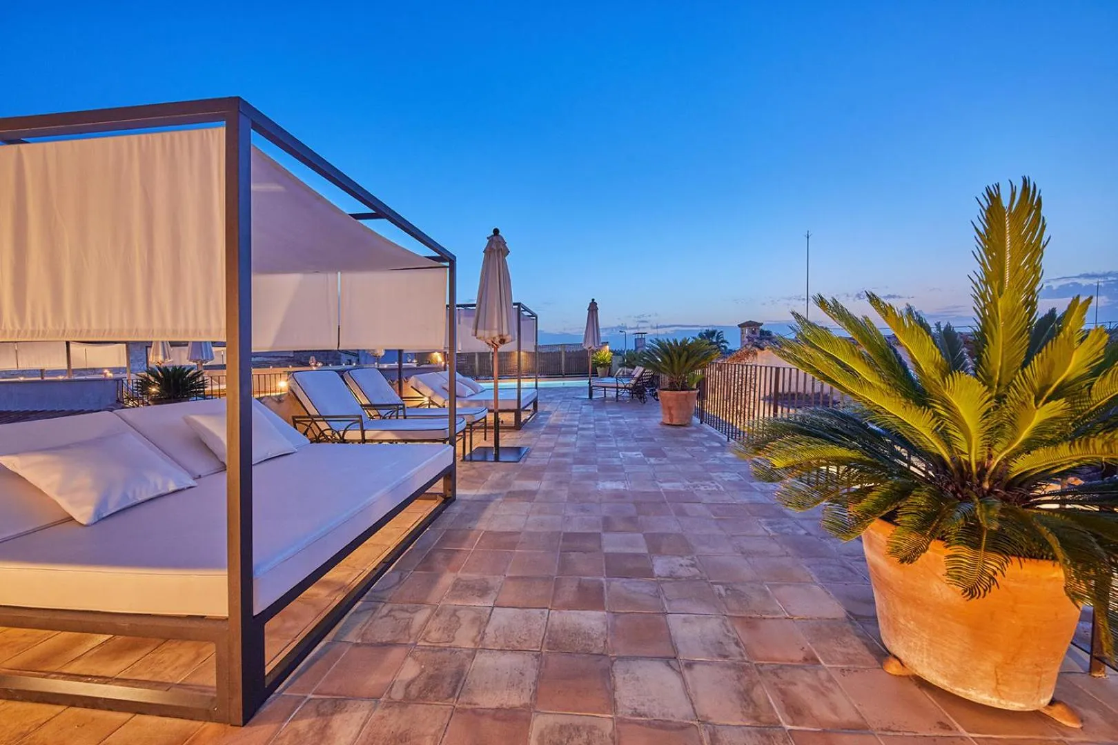 Solarium in Cas Comte Suites & Spa - Adults Only