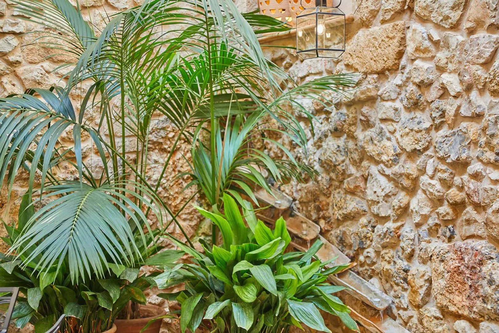 Patio in Cas Comte Suites & Spa - Adults Only