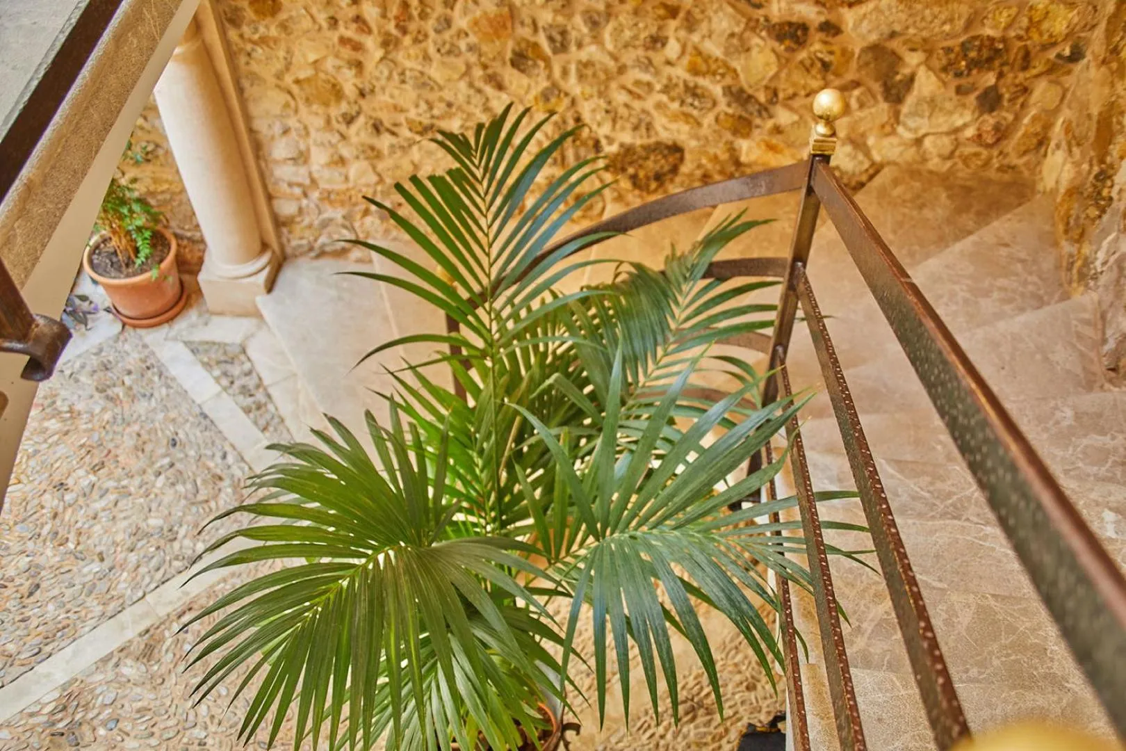 Patio in Cas Comte Suites & Spa - Adults Only