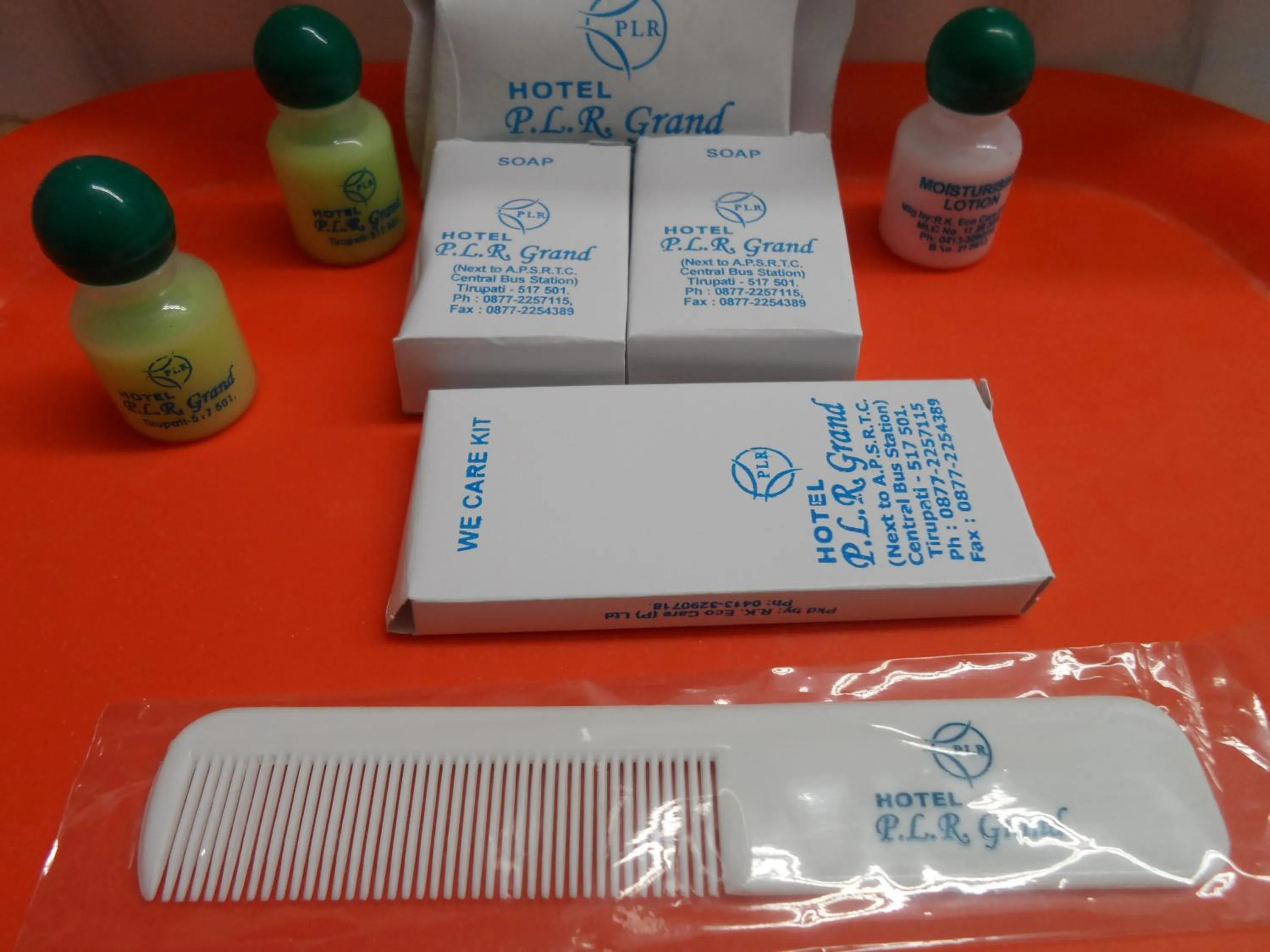 Decorative detail in Hotel PLR Grand