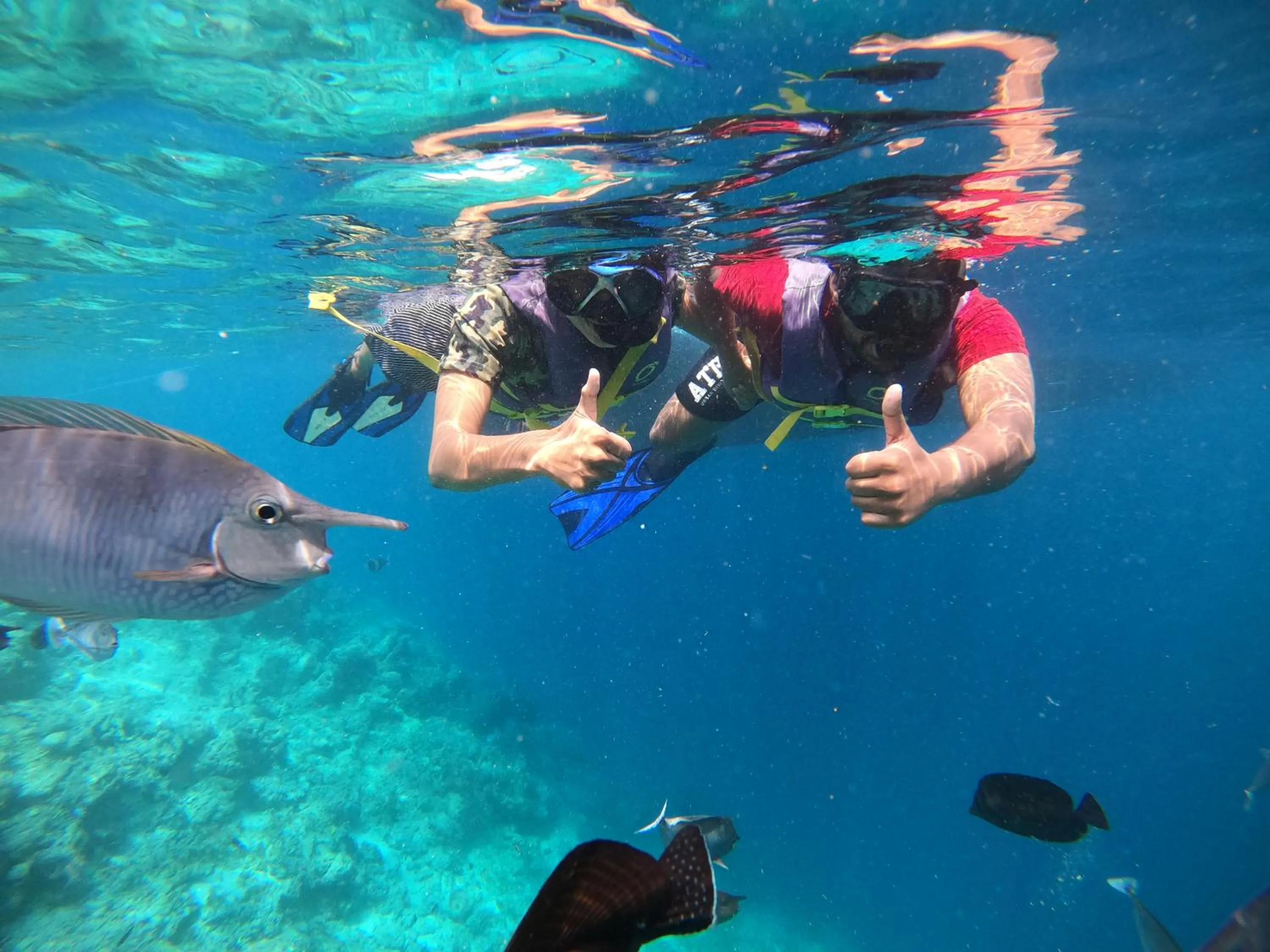 Snorkeling in Crystal Sands