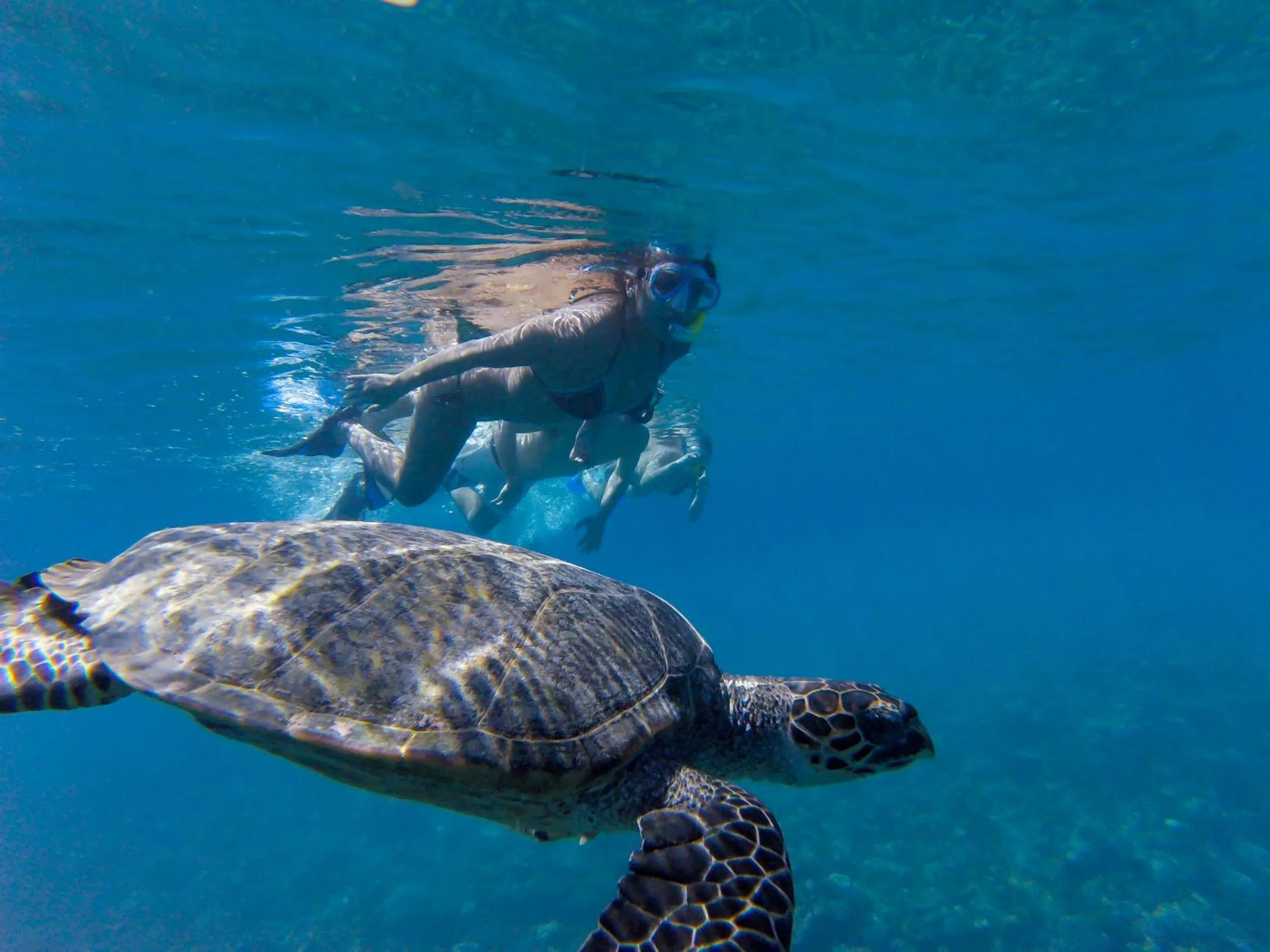 Activities in Crystal Sands