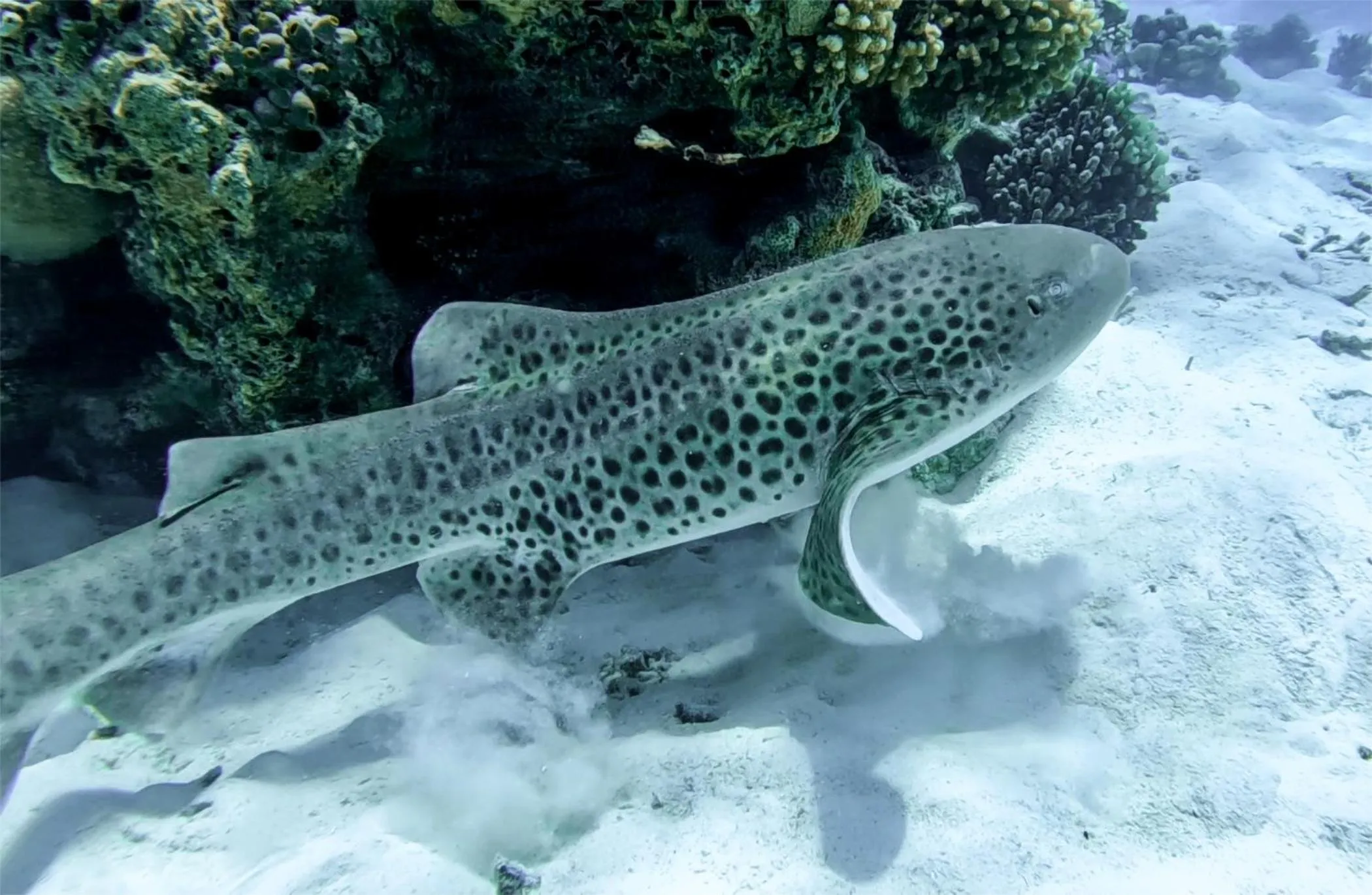 Natural landscape in Crystal Sands