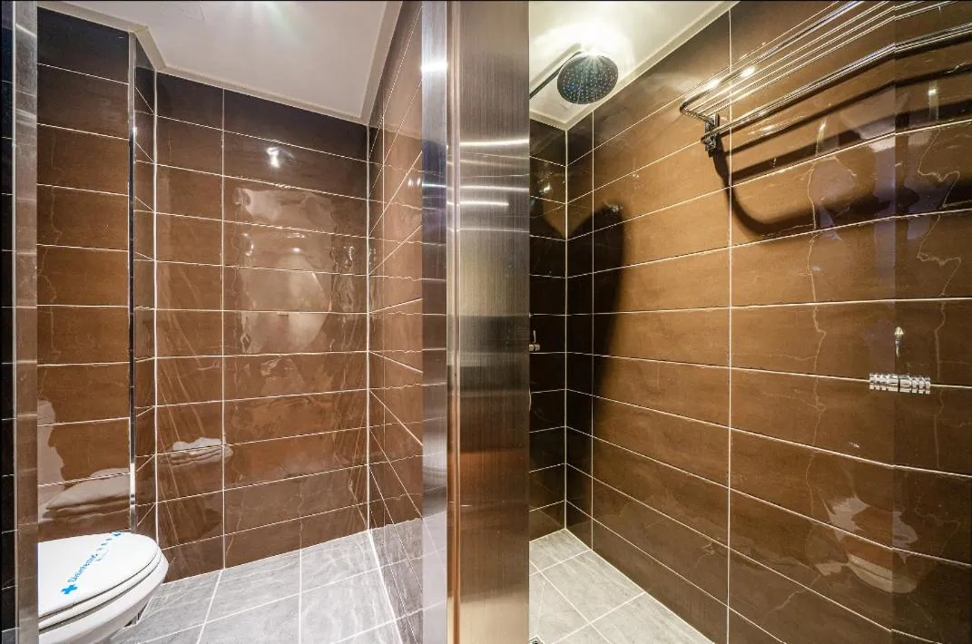 Shower, Bathroom in Bundang Regency Hotel